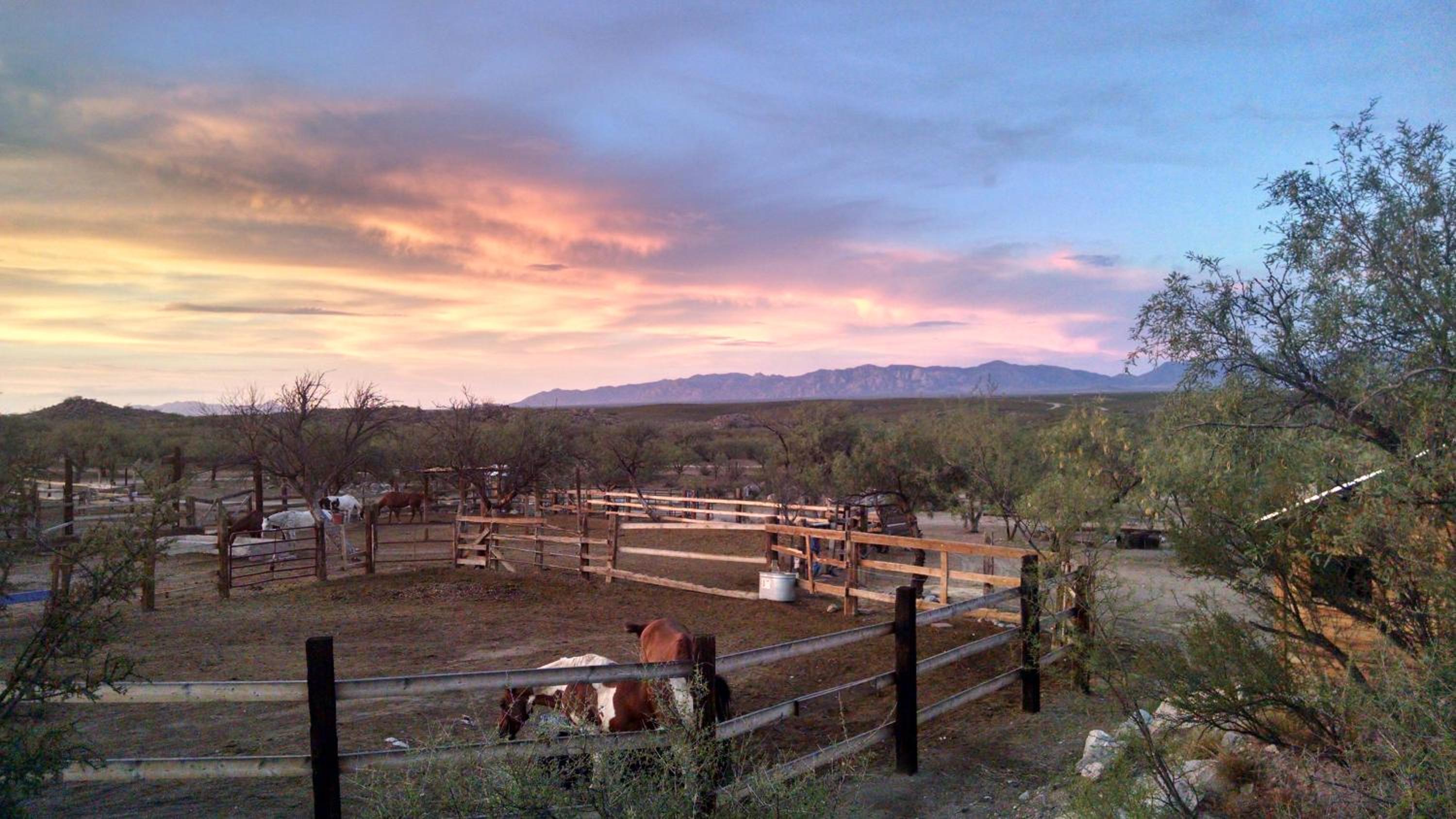 Tombstone Monument Guest Ranch