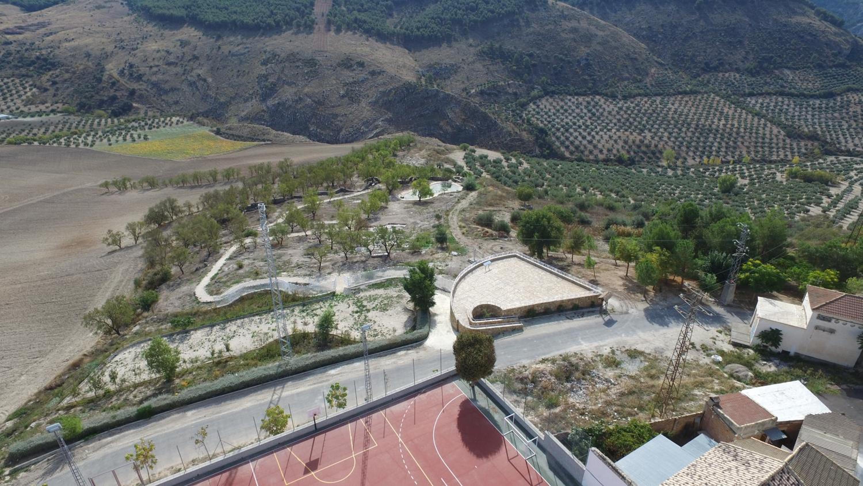Photo 6