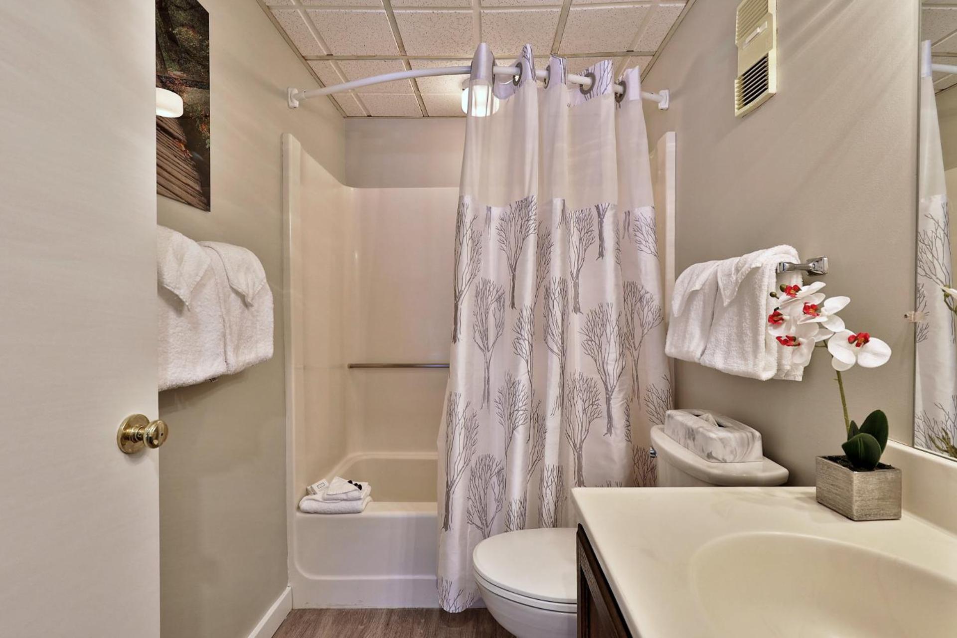 Mountain Green 3C16 - Renovated 2BR-2BA With Mountain Views, Hot Tub, Pool, Shuttle, Gym