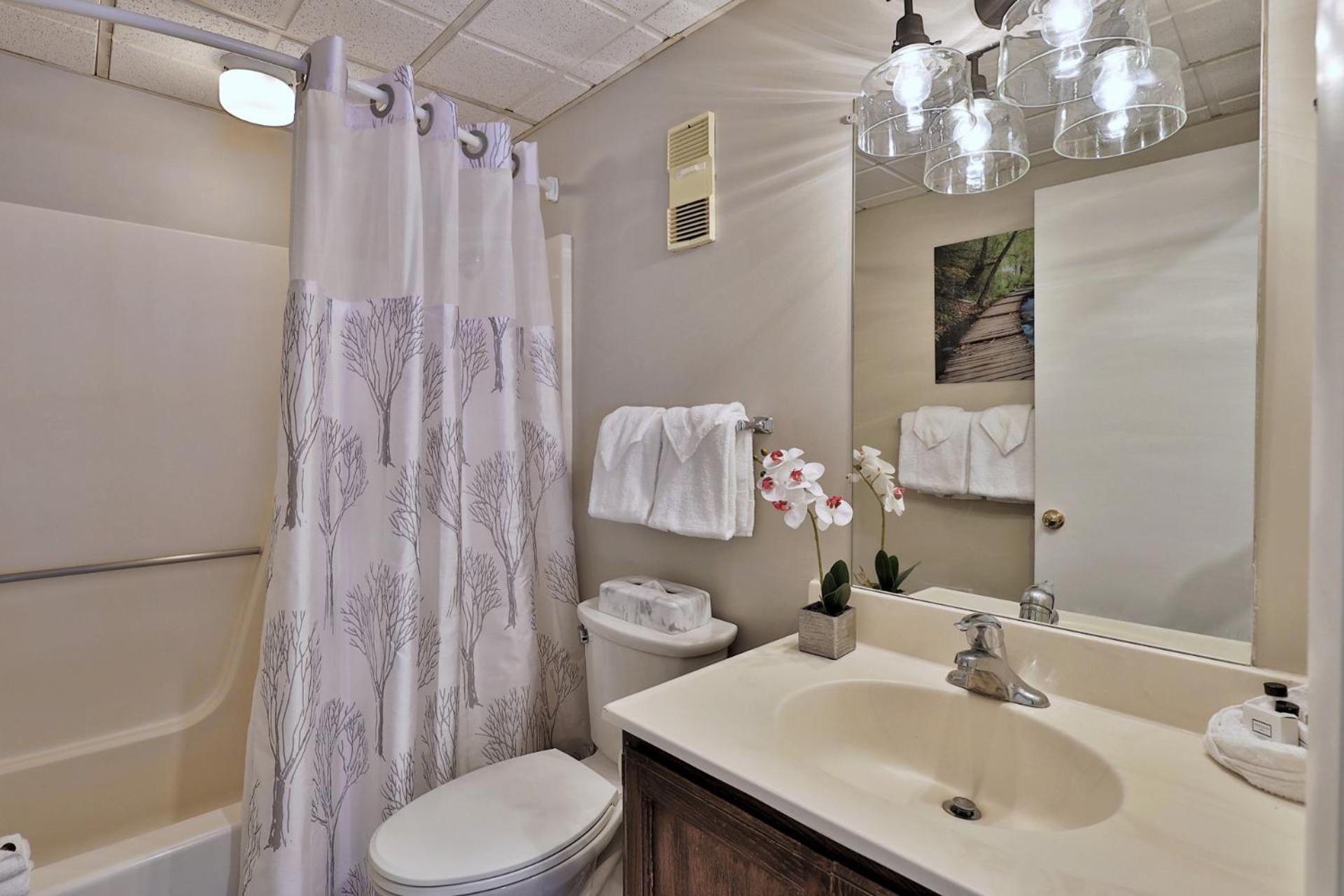 Mountain Green 3C16 - Renovated 2BR-2BA With Mountain Views, Hot Tub, Pool, Shuttle, Gym