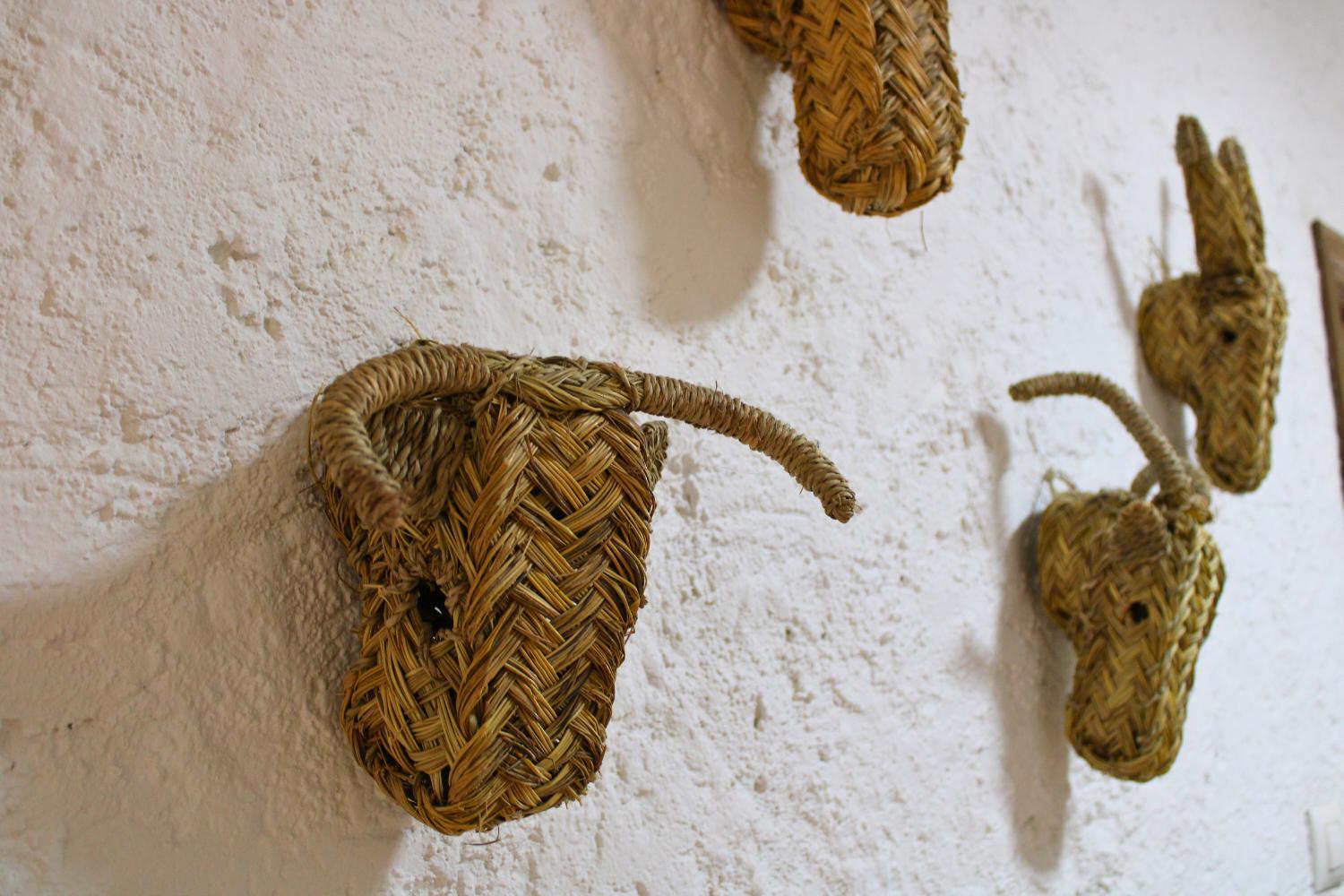 La Casa de la Tierra by SIERRA VIVA