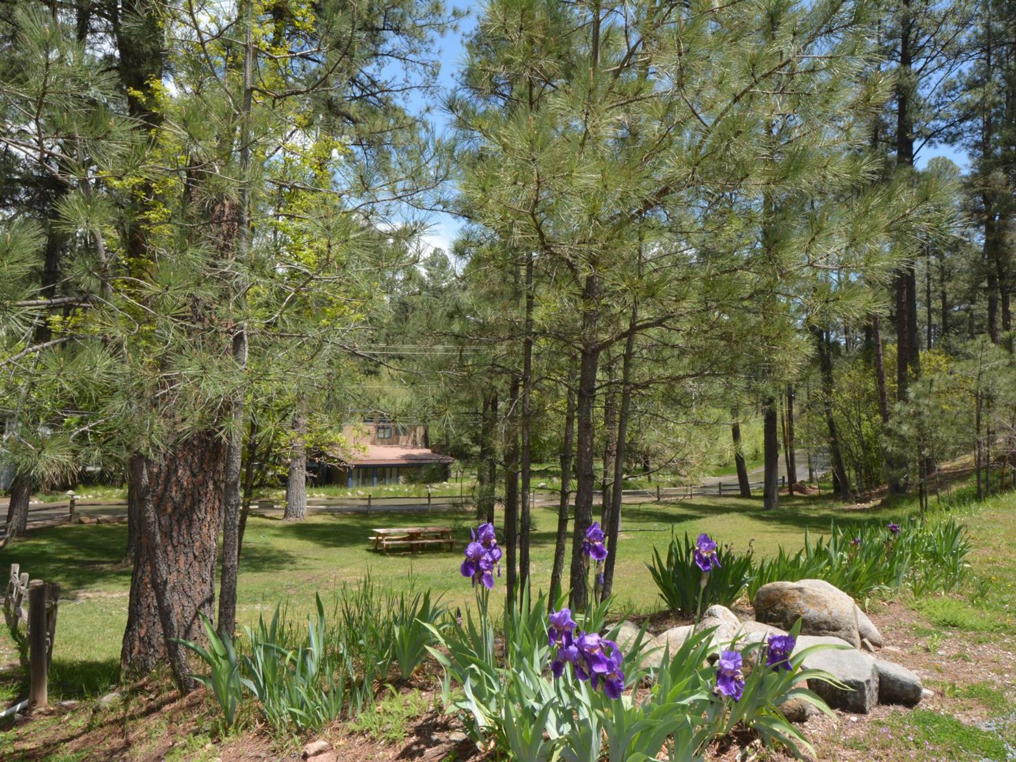 Upper Canyon Inn & Cabins