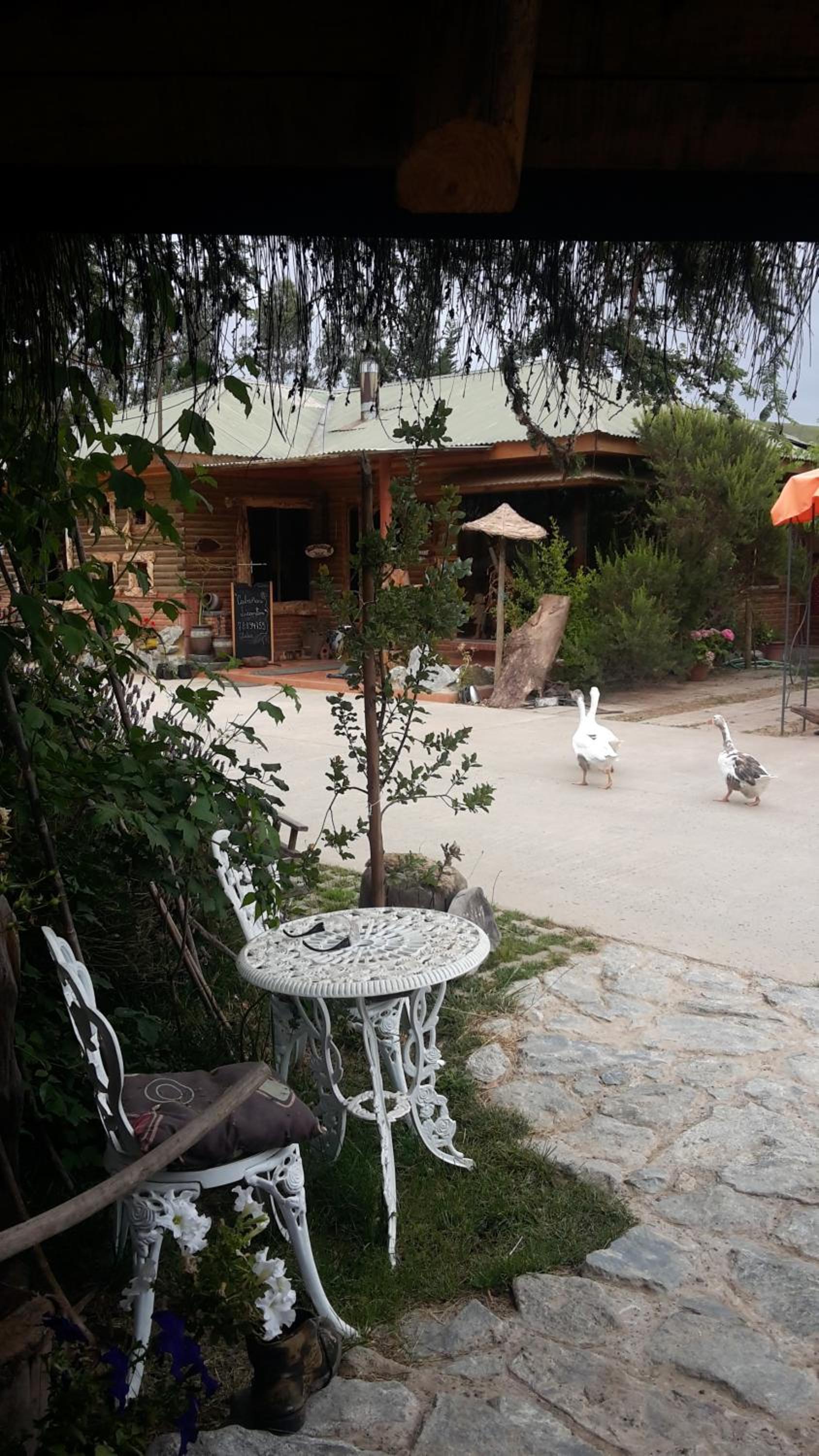 Cabañas Rukas Licantén