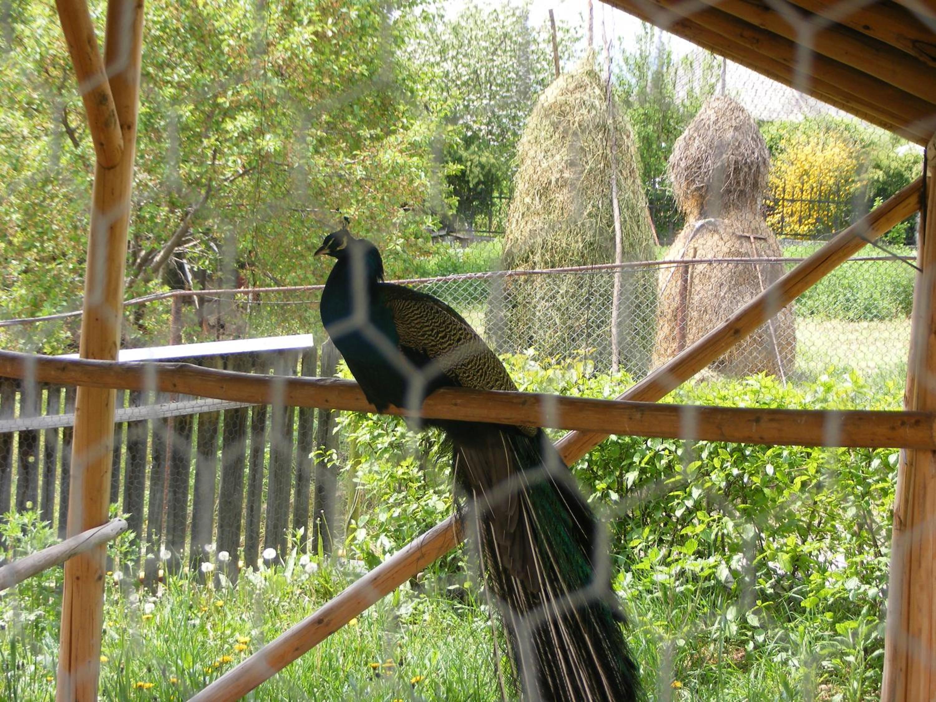Photo 21