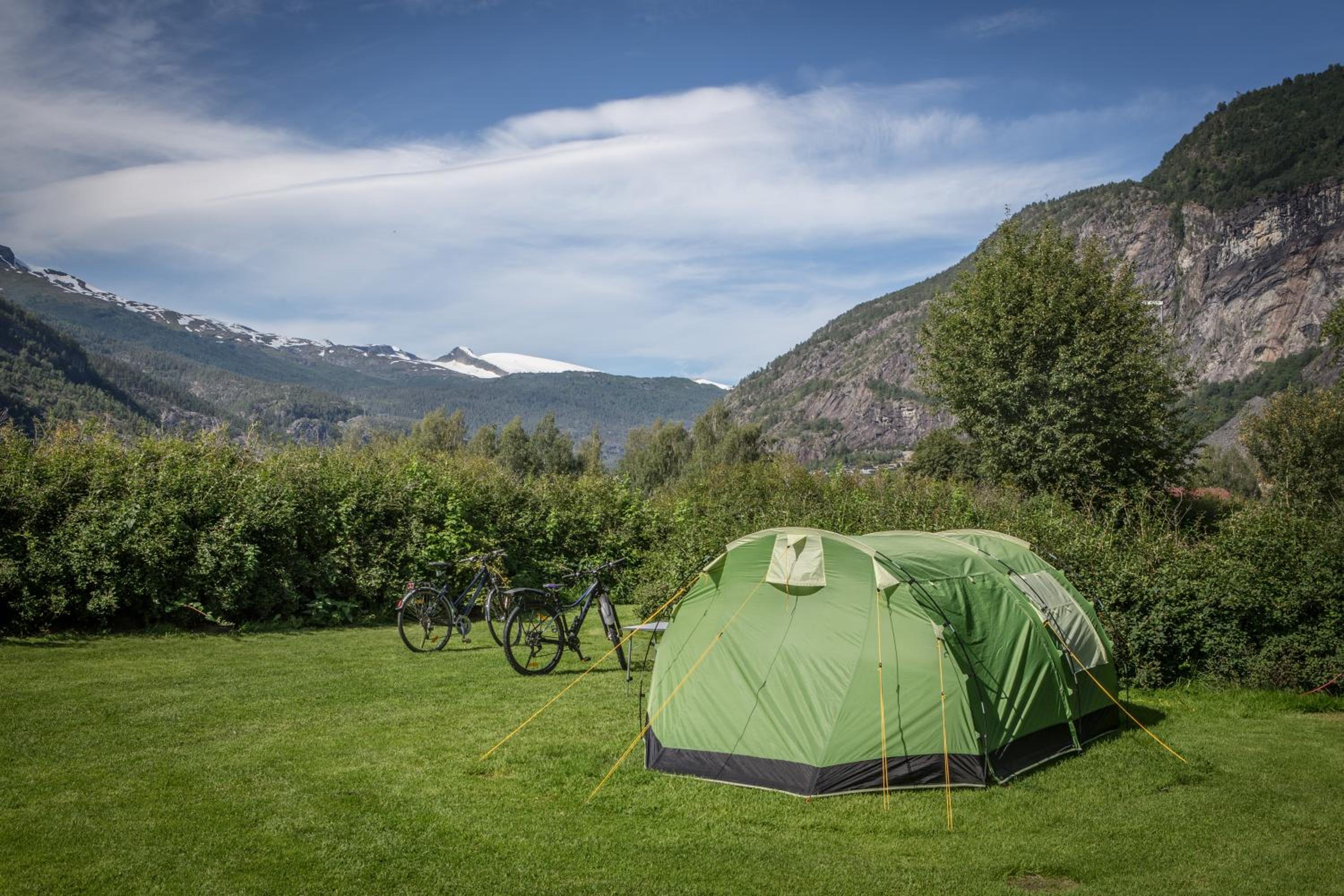 Pluscamp Sandvik