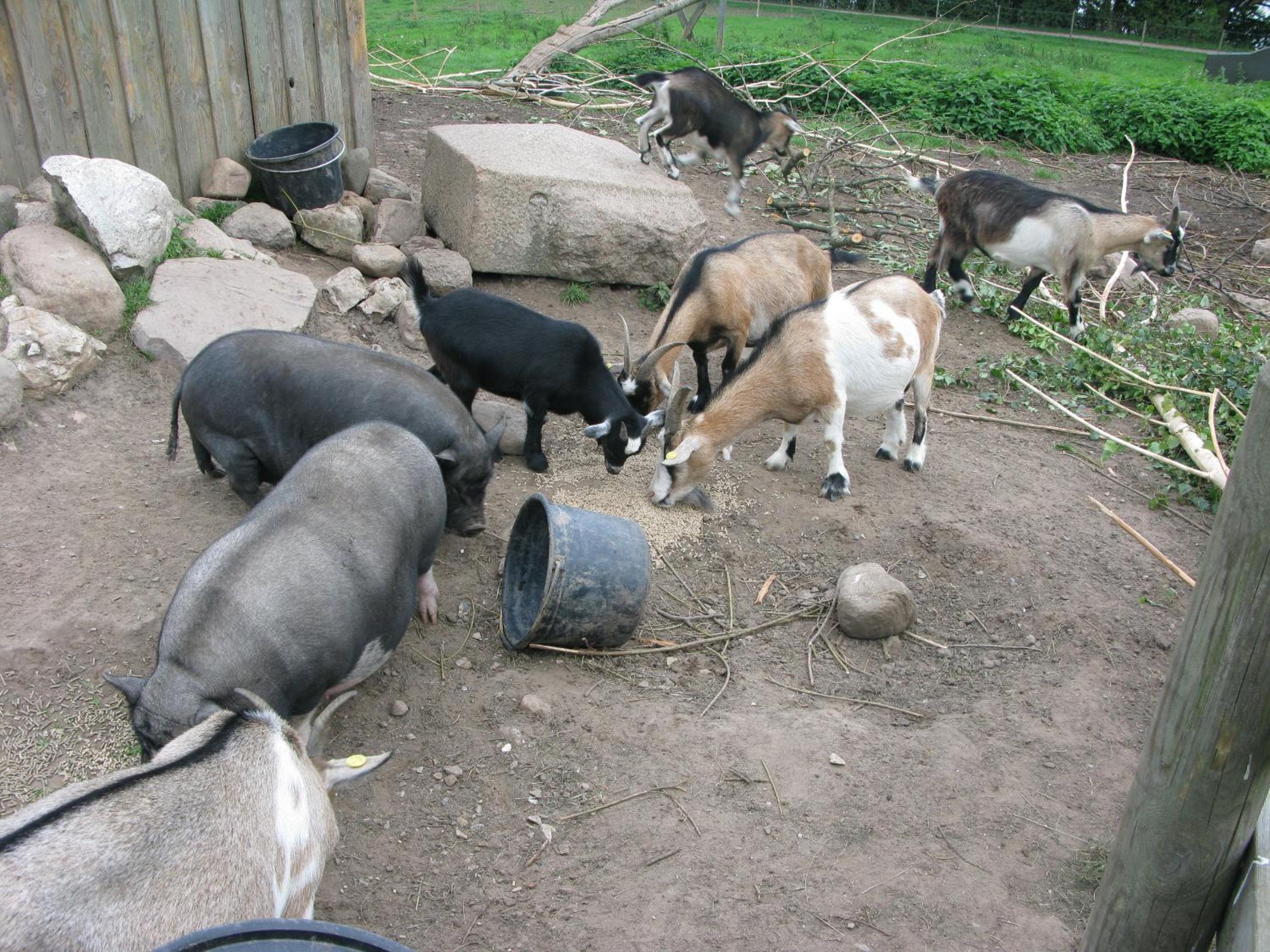 Photo 26