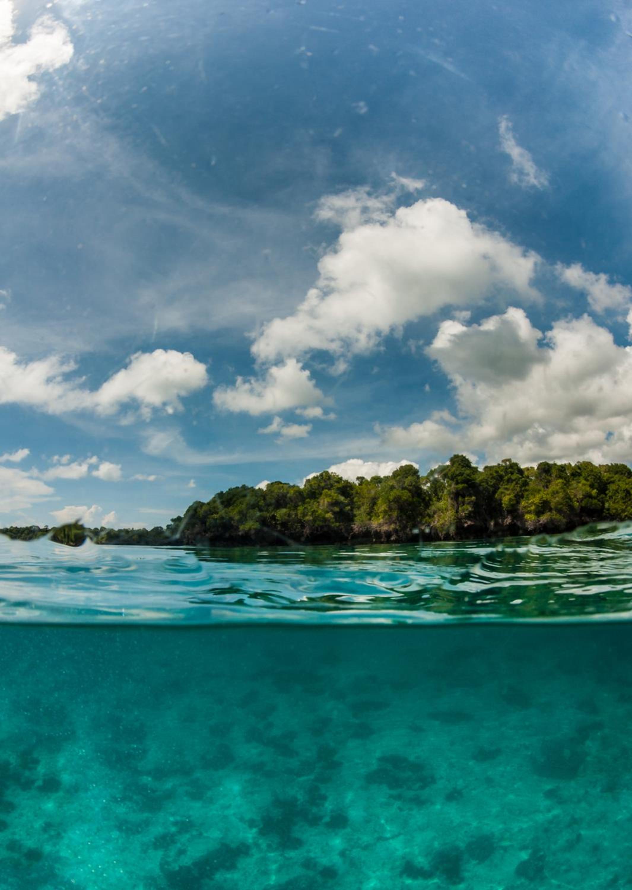 Gecko Nature Lodge Home of Swahili Divers the BEST dive center and Famous Gecko Restaurant