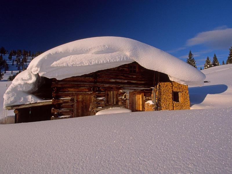Chalet Tannheimer Tal