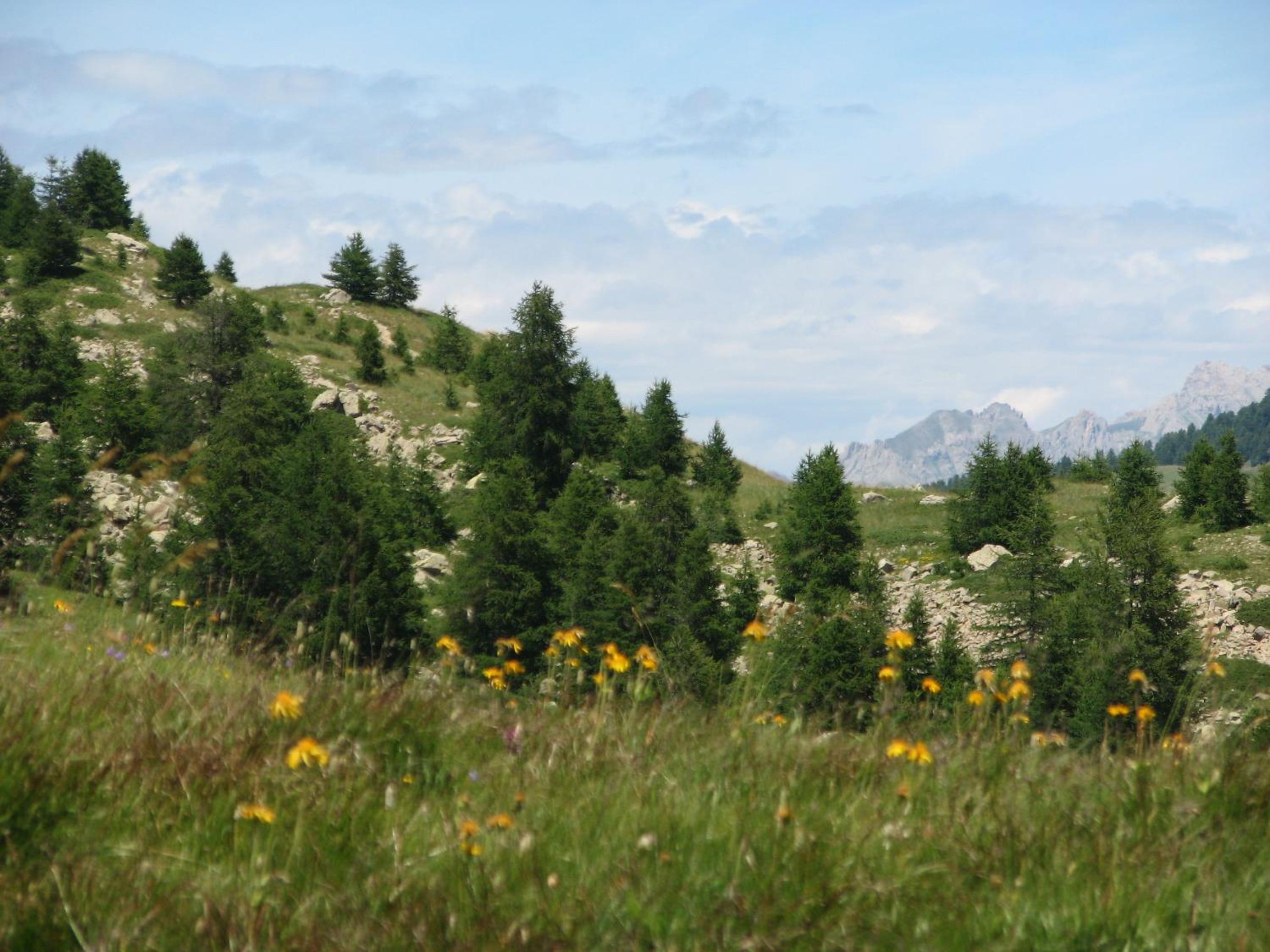 Photo 21