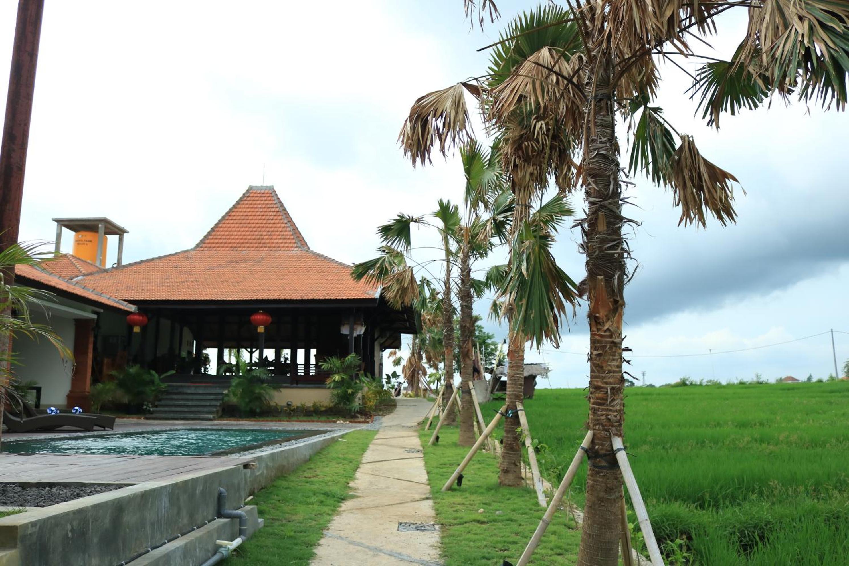 Kampung Canggu view 4