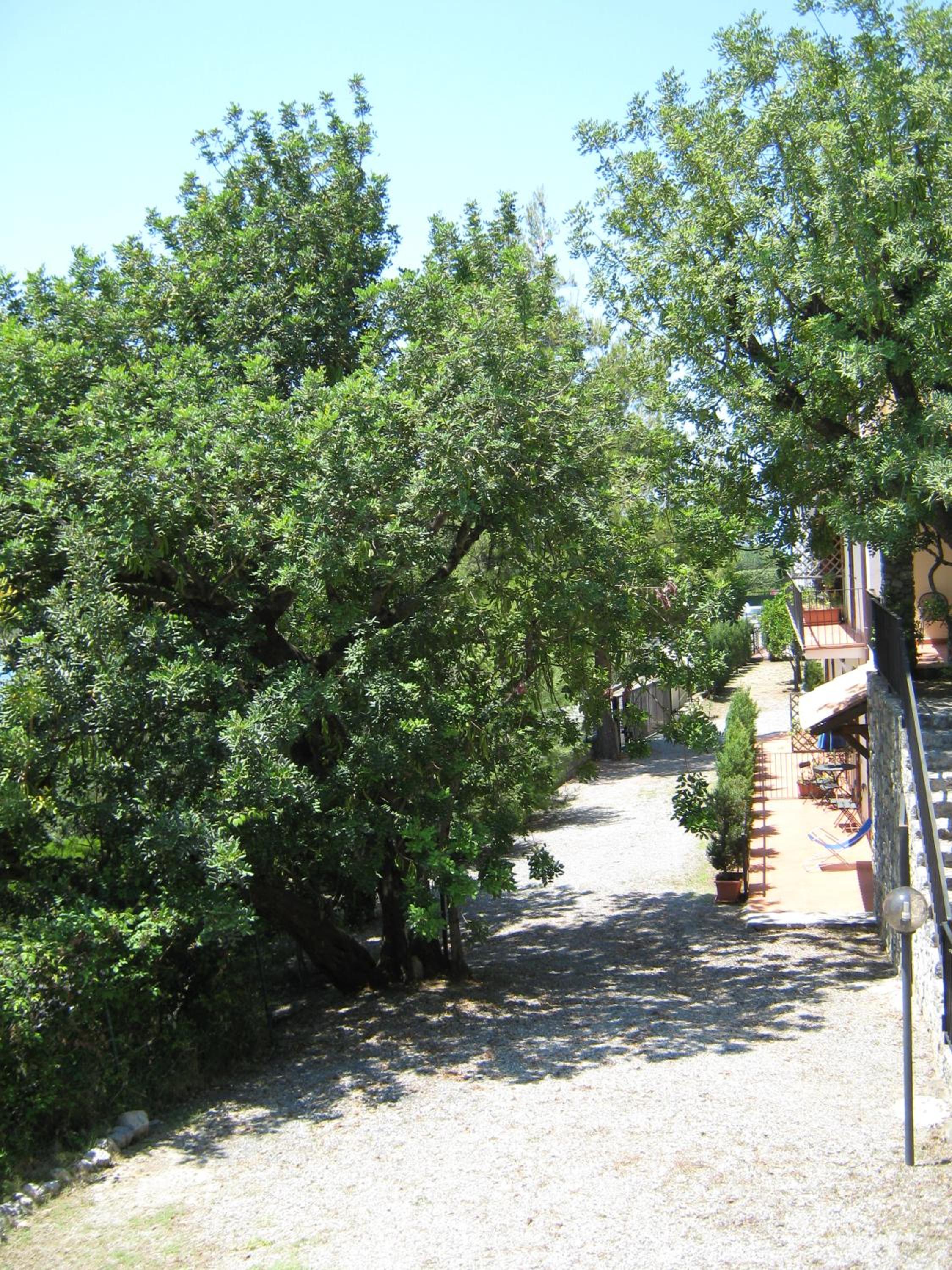 Il Casalino