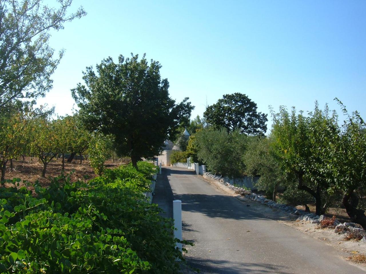 Photo 28