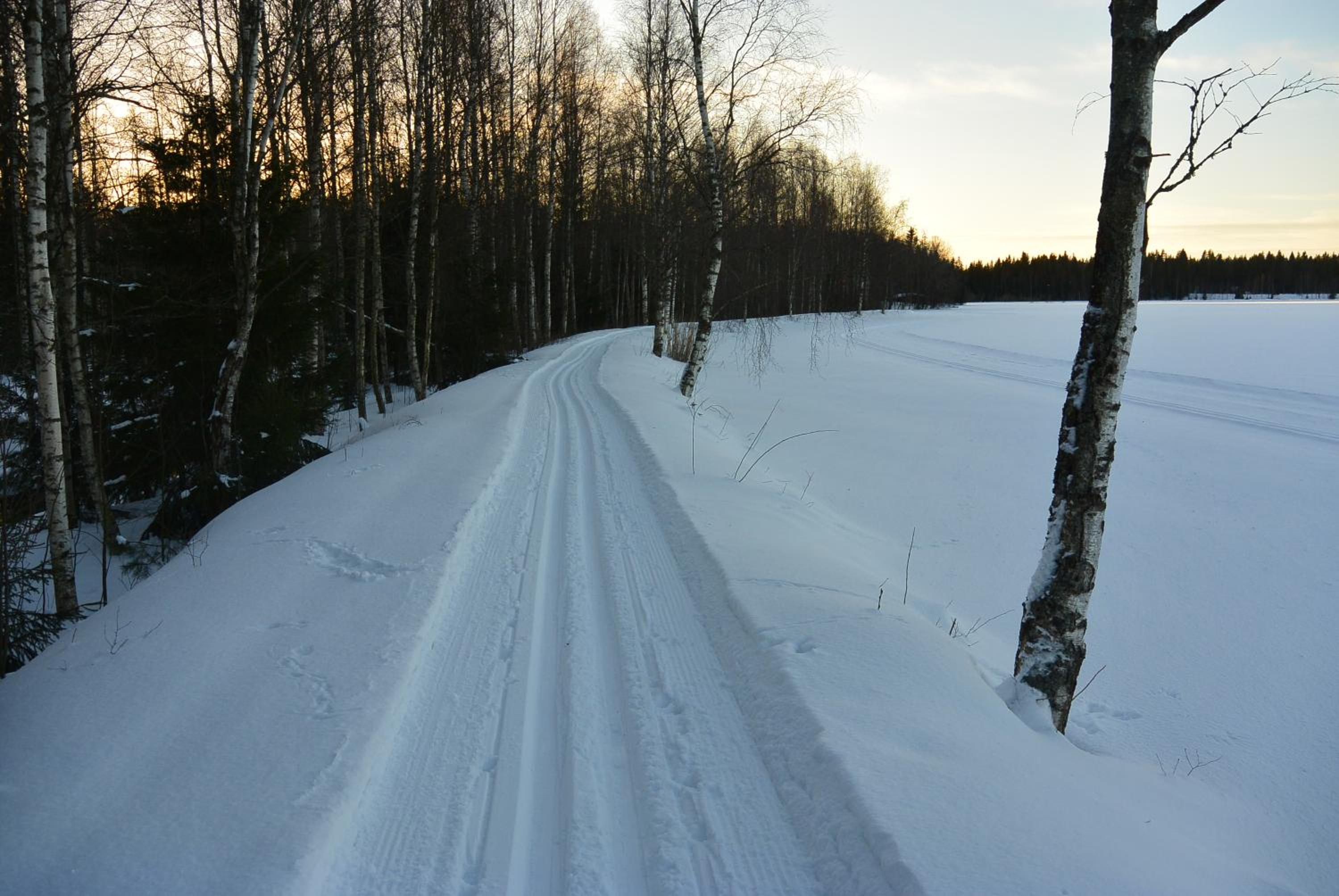 Photo 45