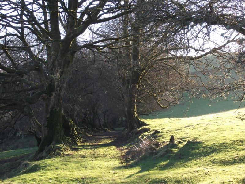 Swallow Barn