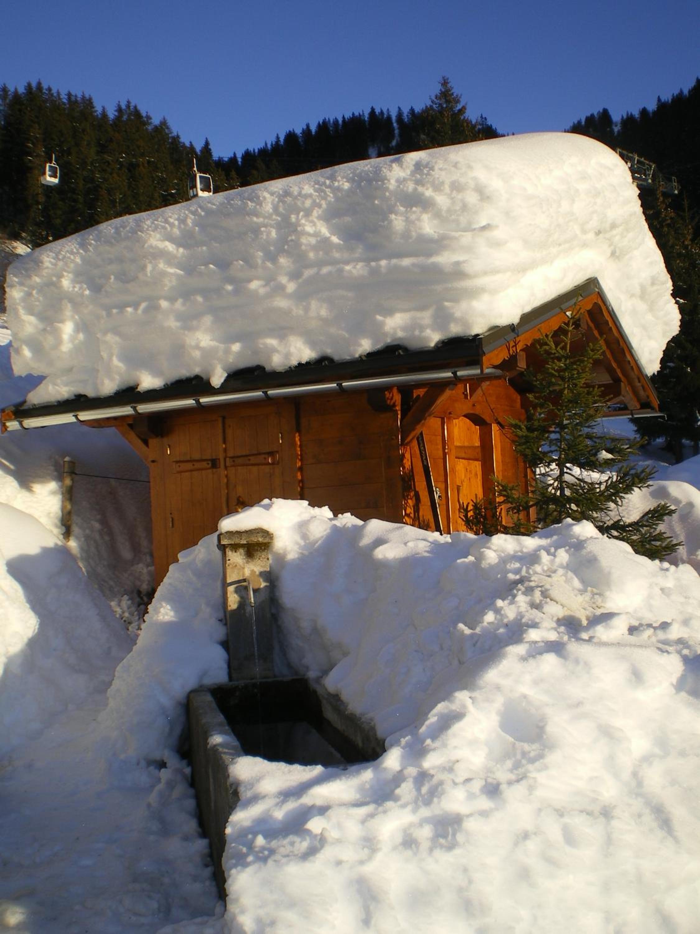 Photo 11