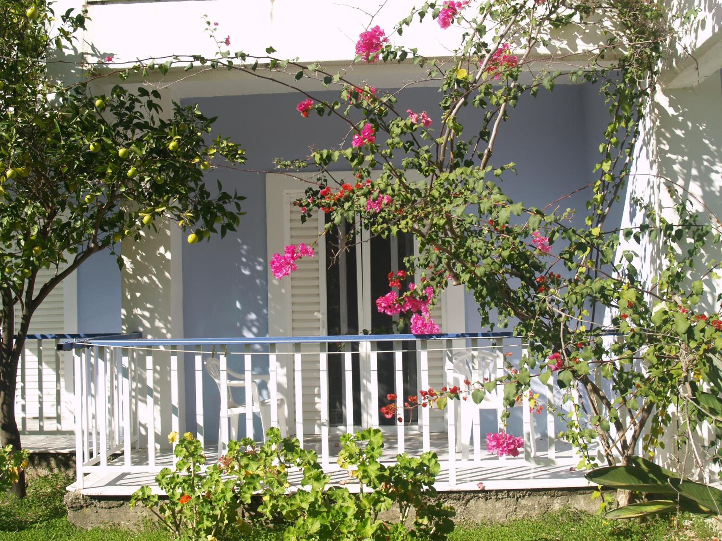 Hotel Cavo Mytikas - Property Image 20