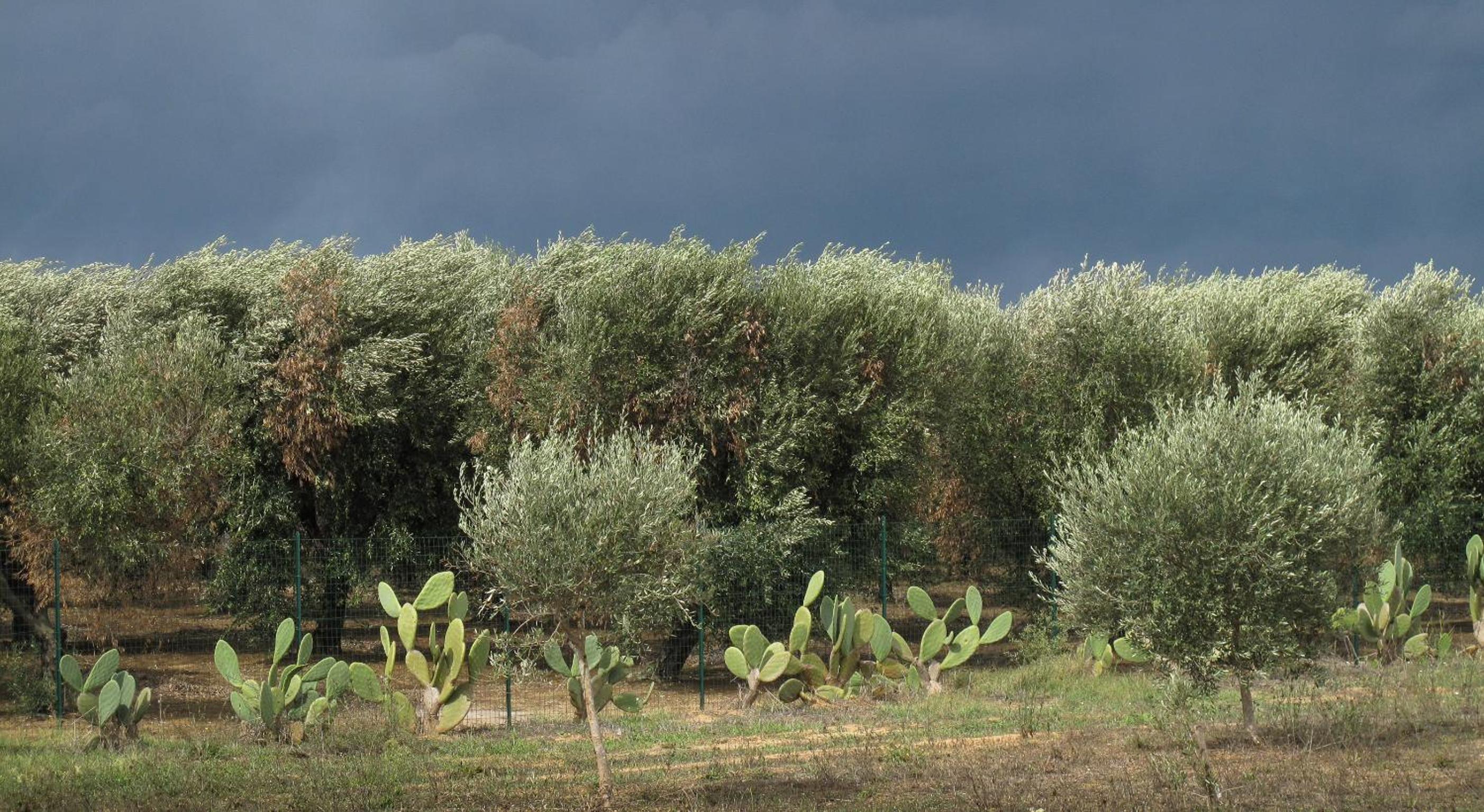 B&B Sosta A Ponente, photo 8