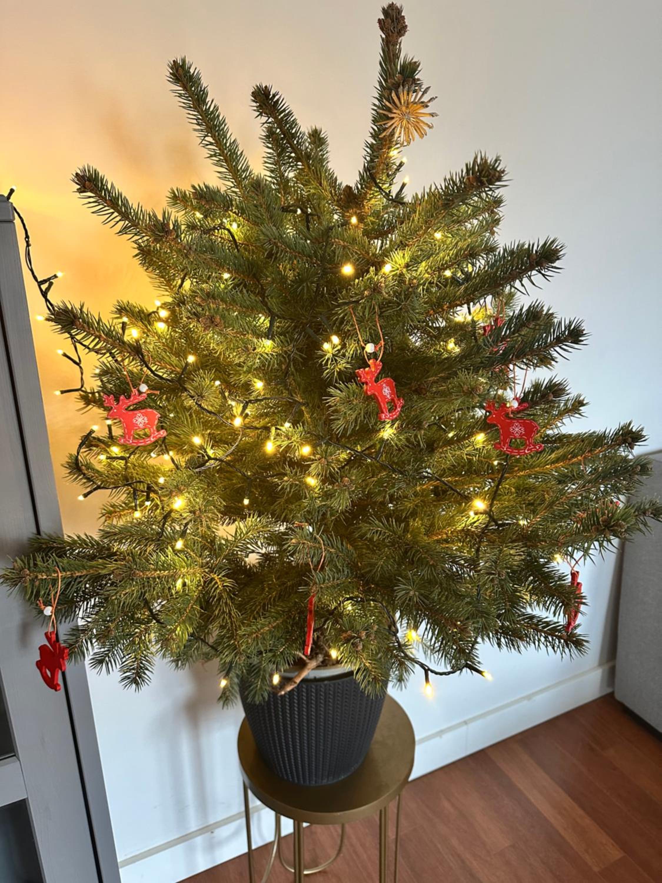 Photo 11