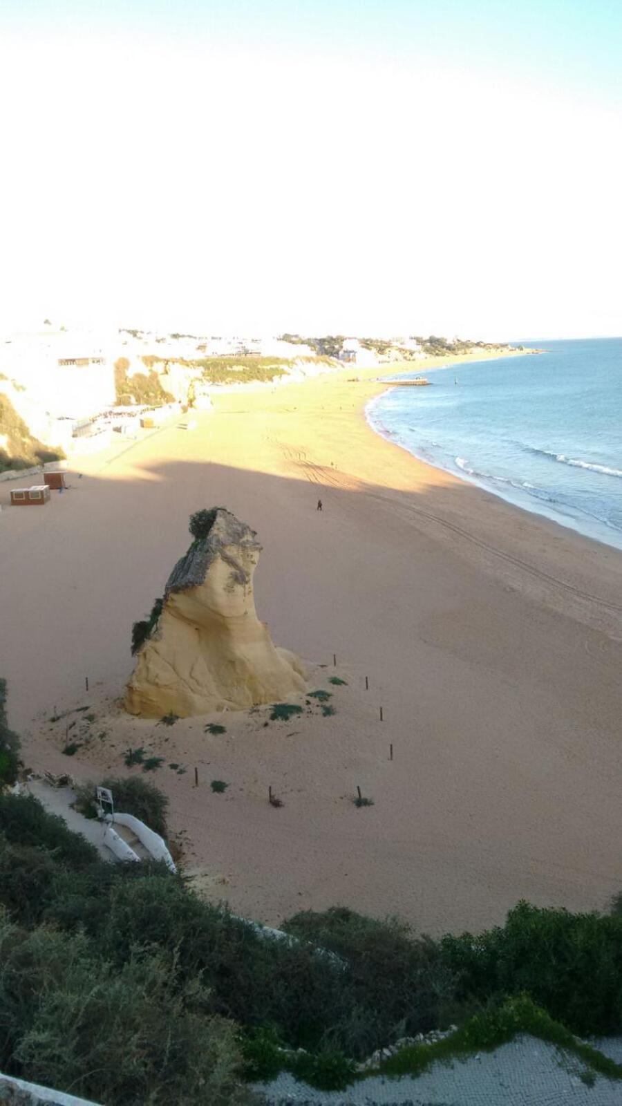 Apartamento Cardoso view 4