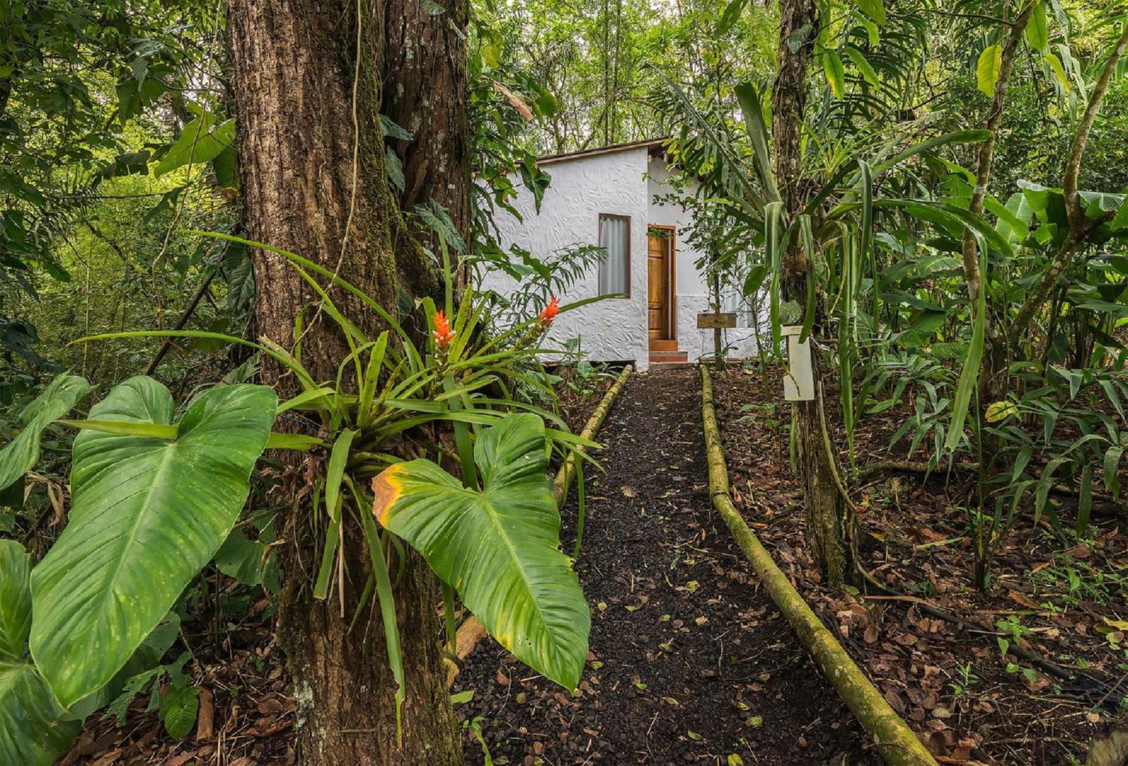 Hotel Pacoche Lodge - Image 1