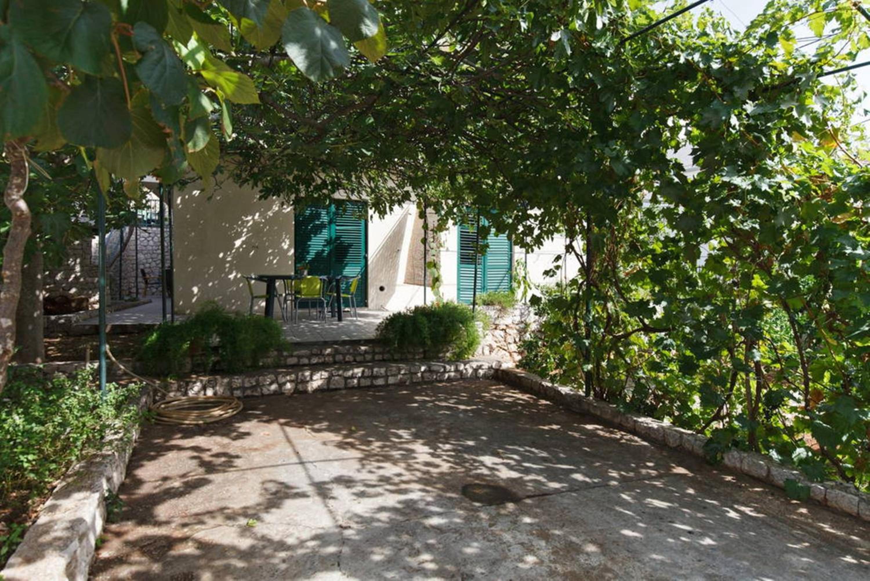 Photo 45