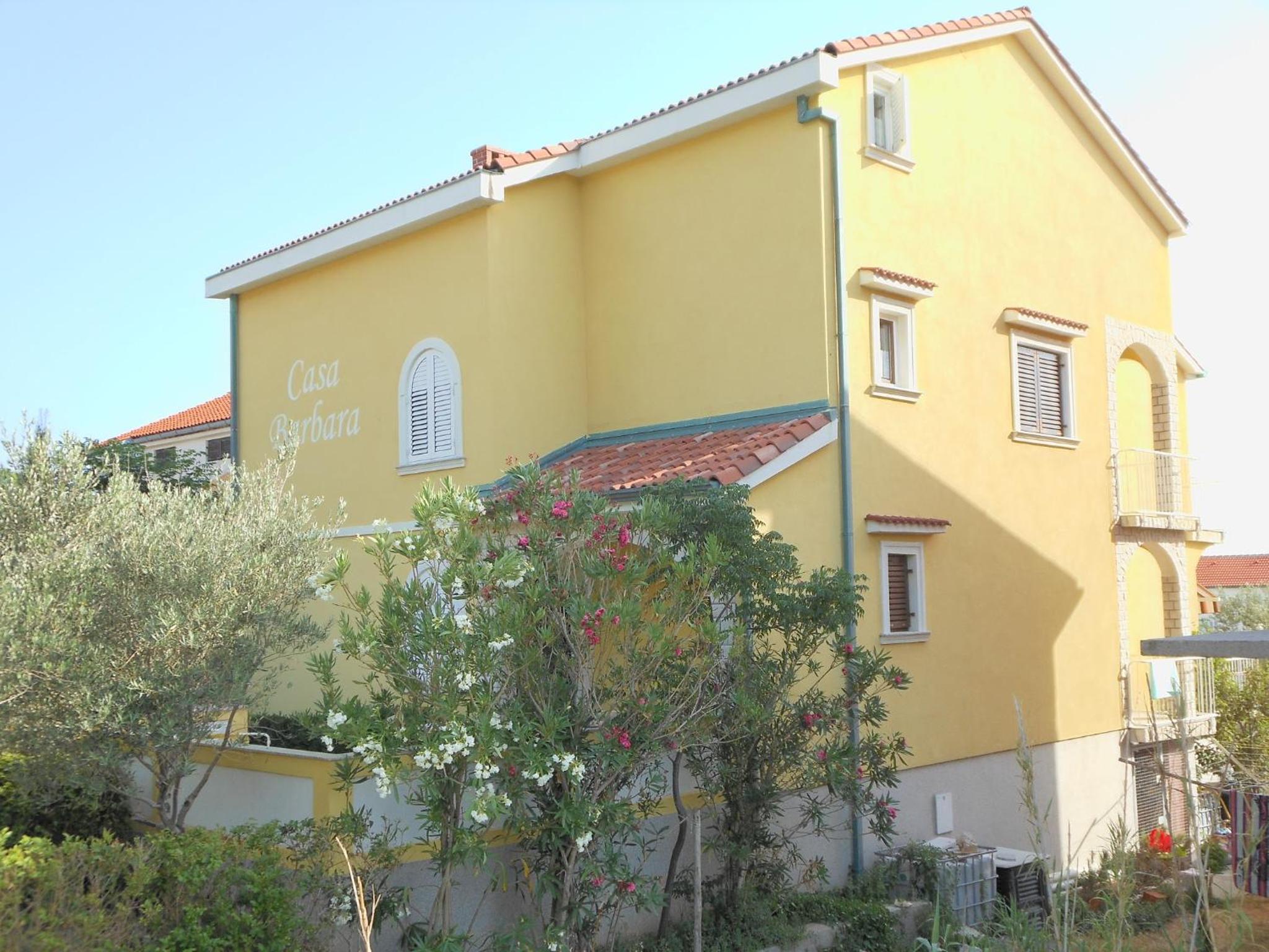 Photo 7