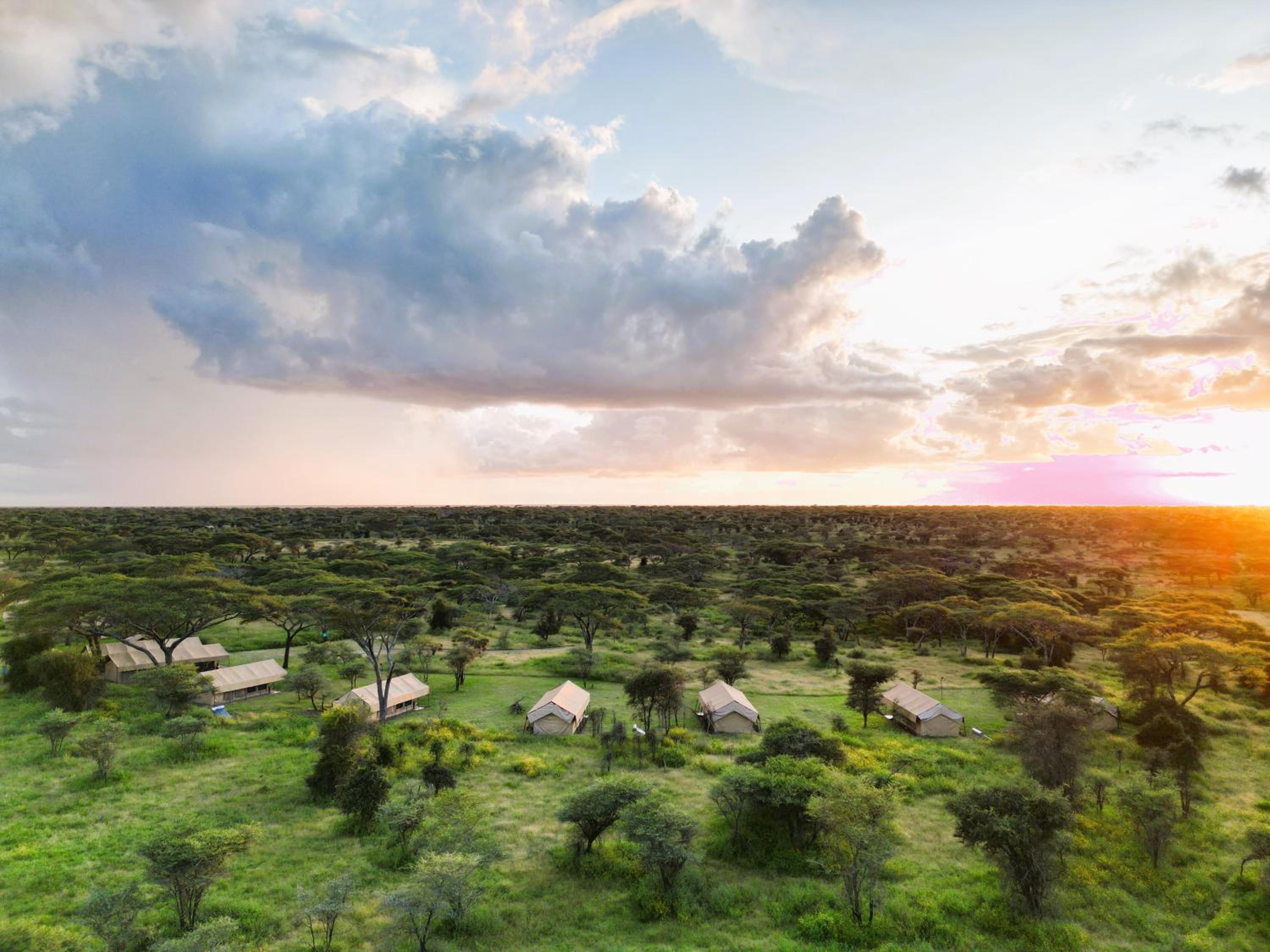 Africa Safari South Serengeti Ndutu Camping