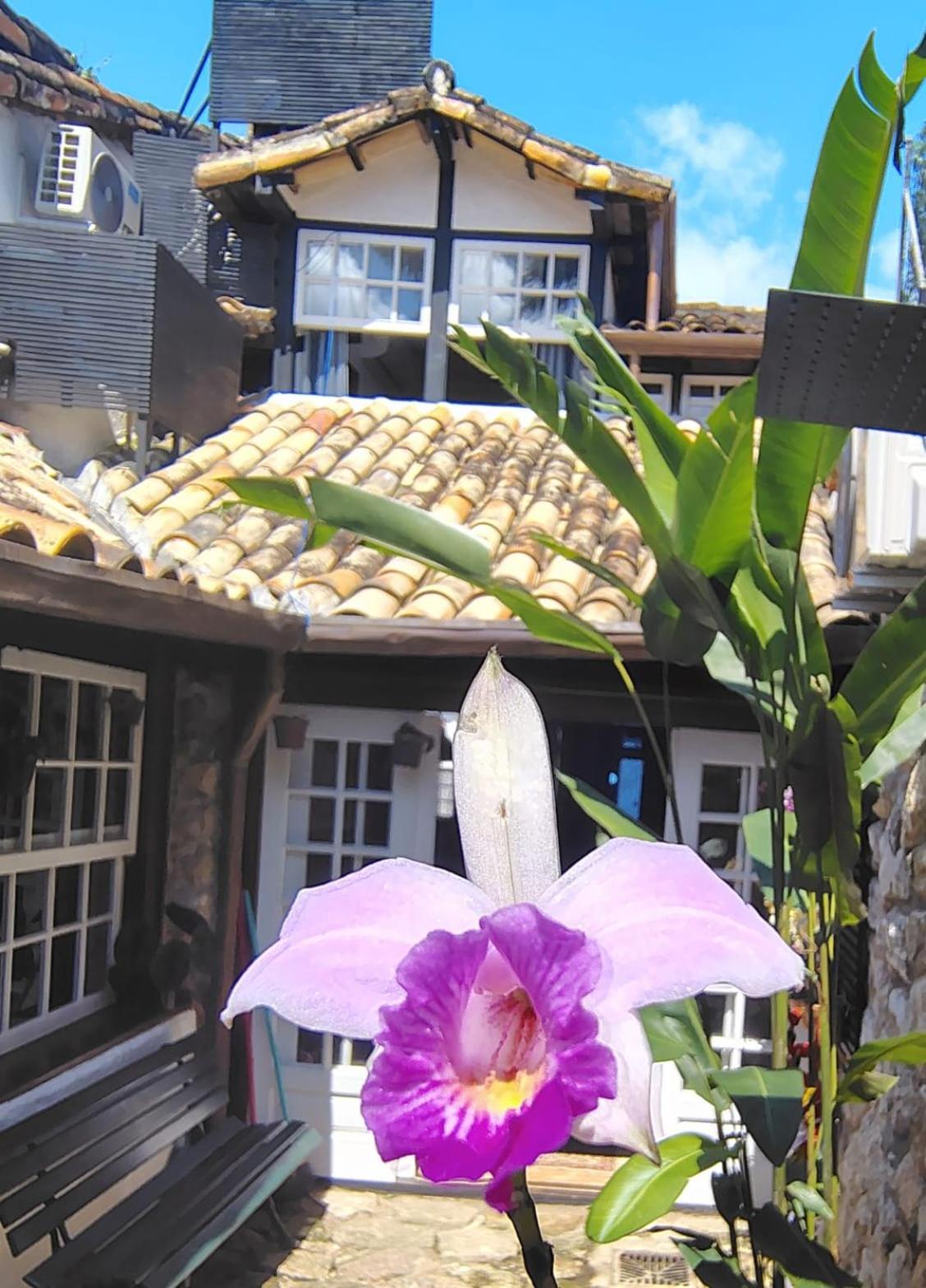 Casa Verde no Centro Histórico