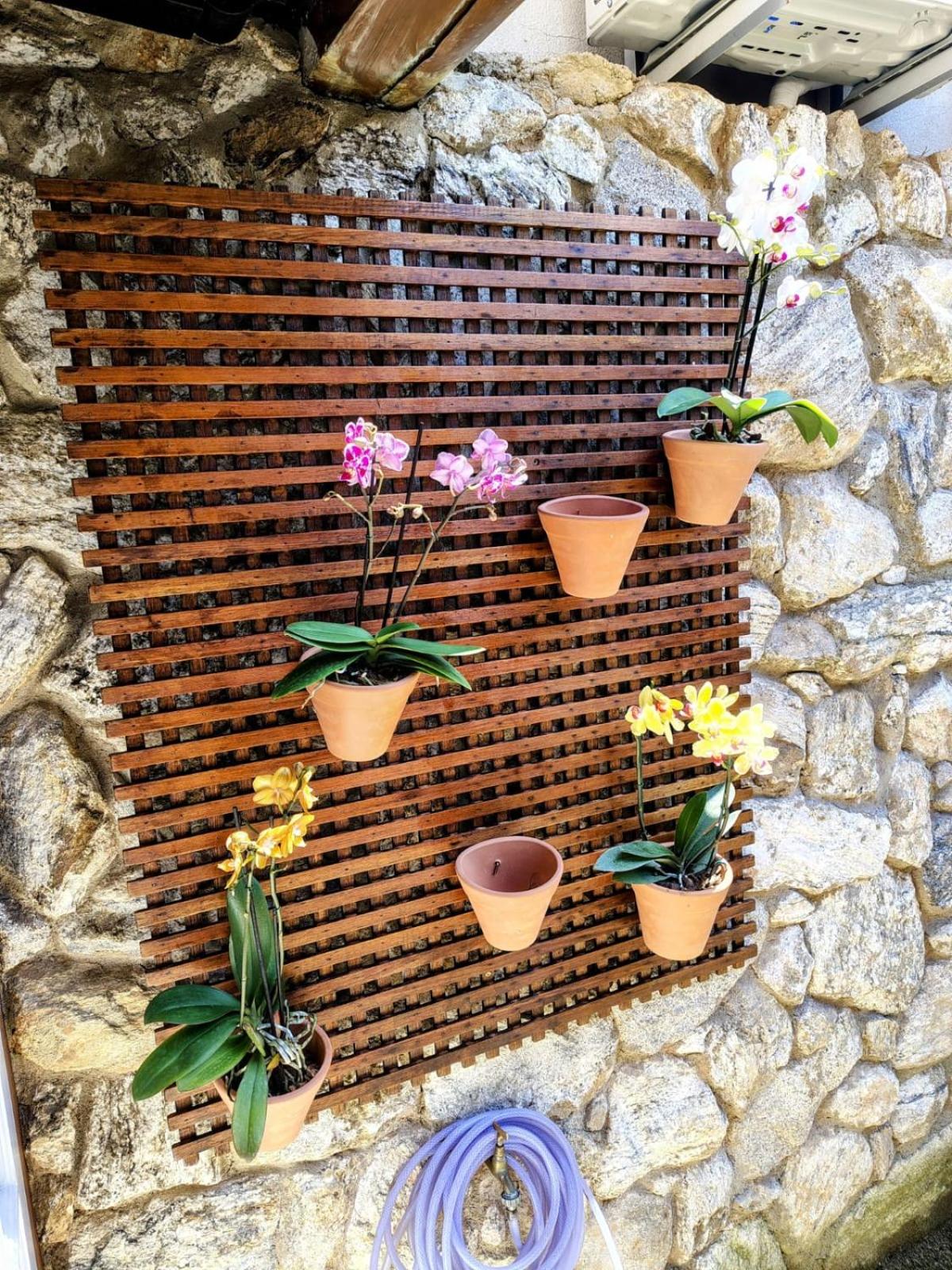 Casa Verde no Centro Histórico