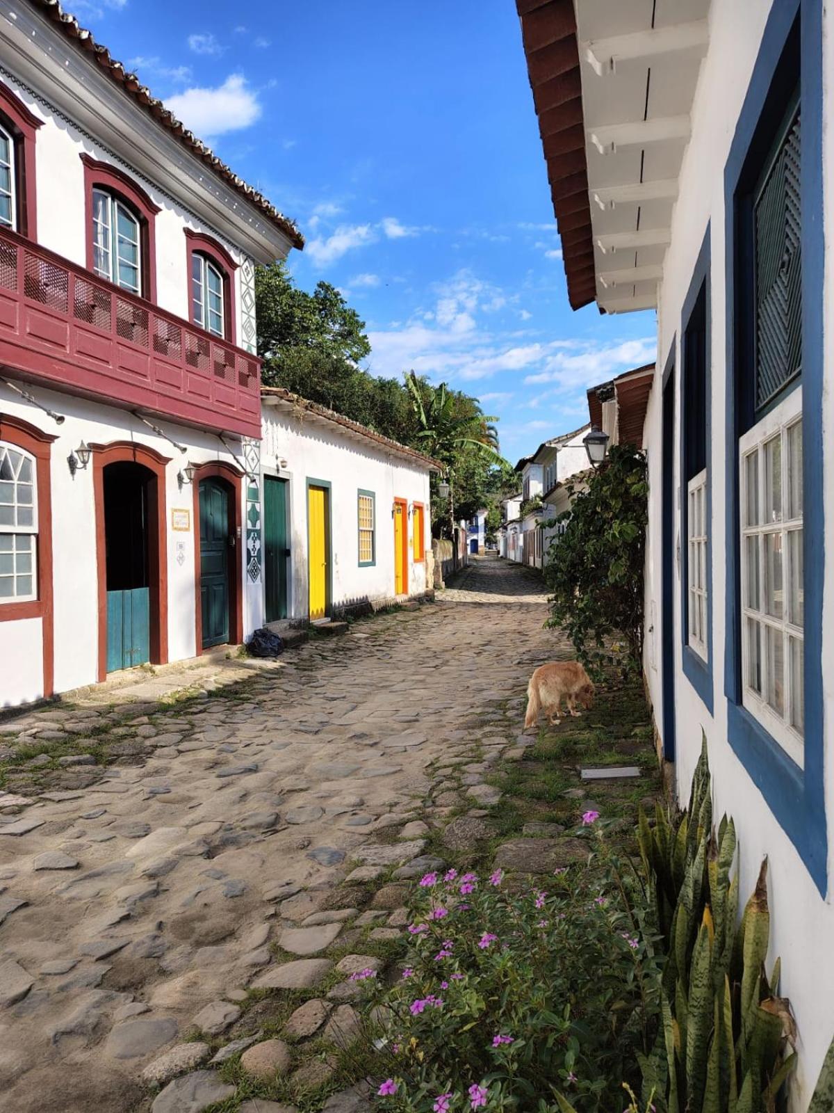 Casa Verde no Centro Histórico