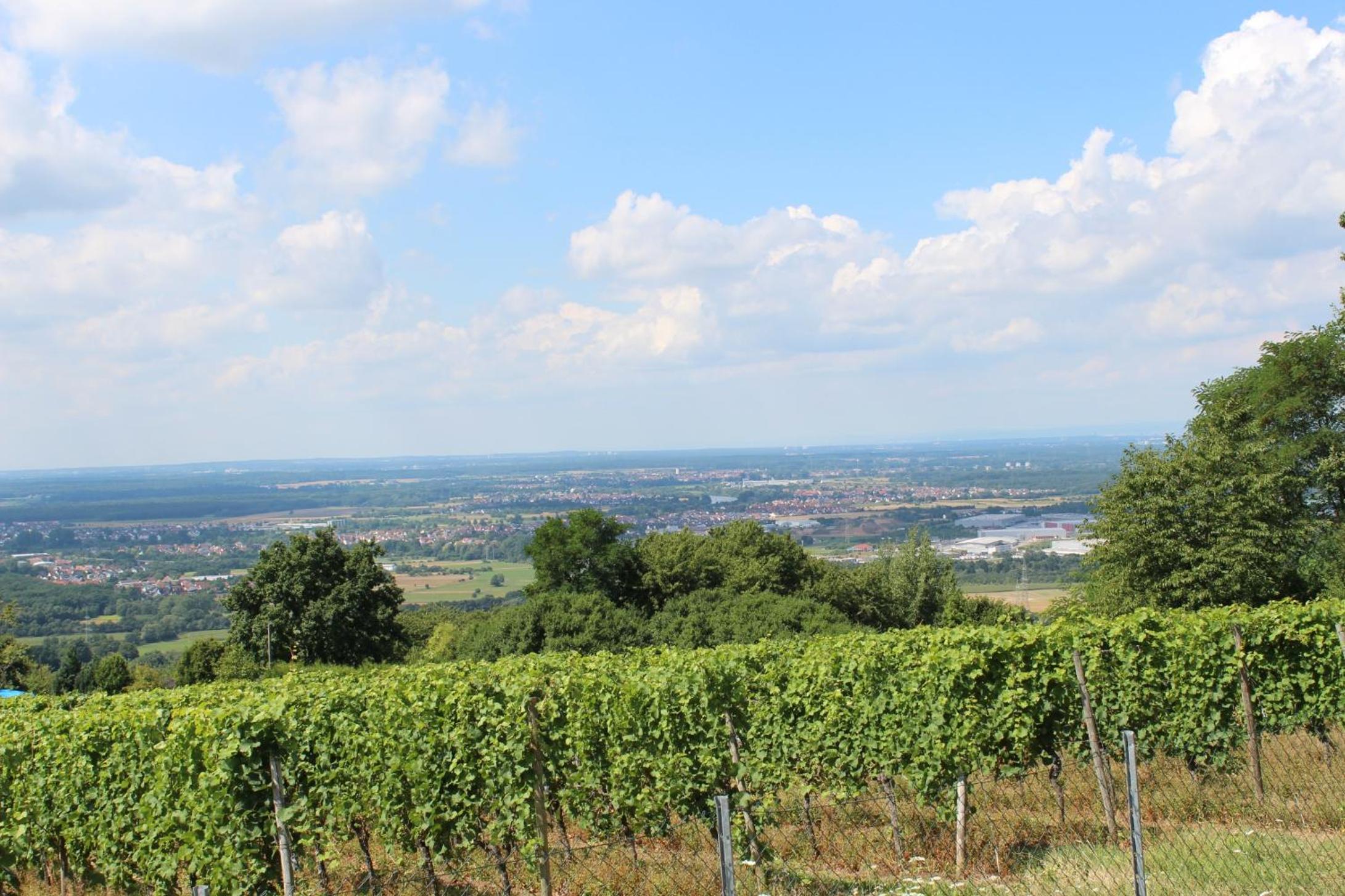 Schöne Aussicht