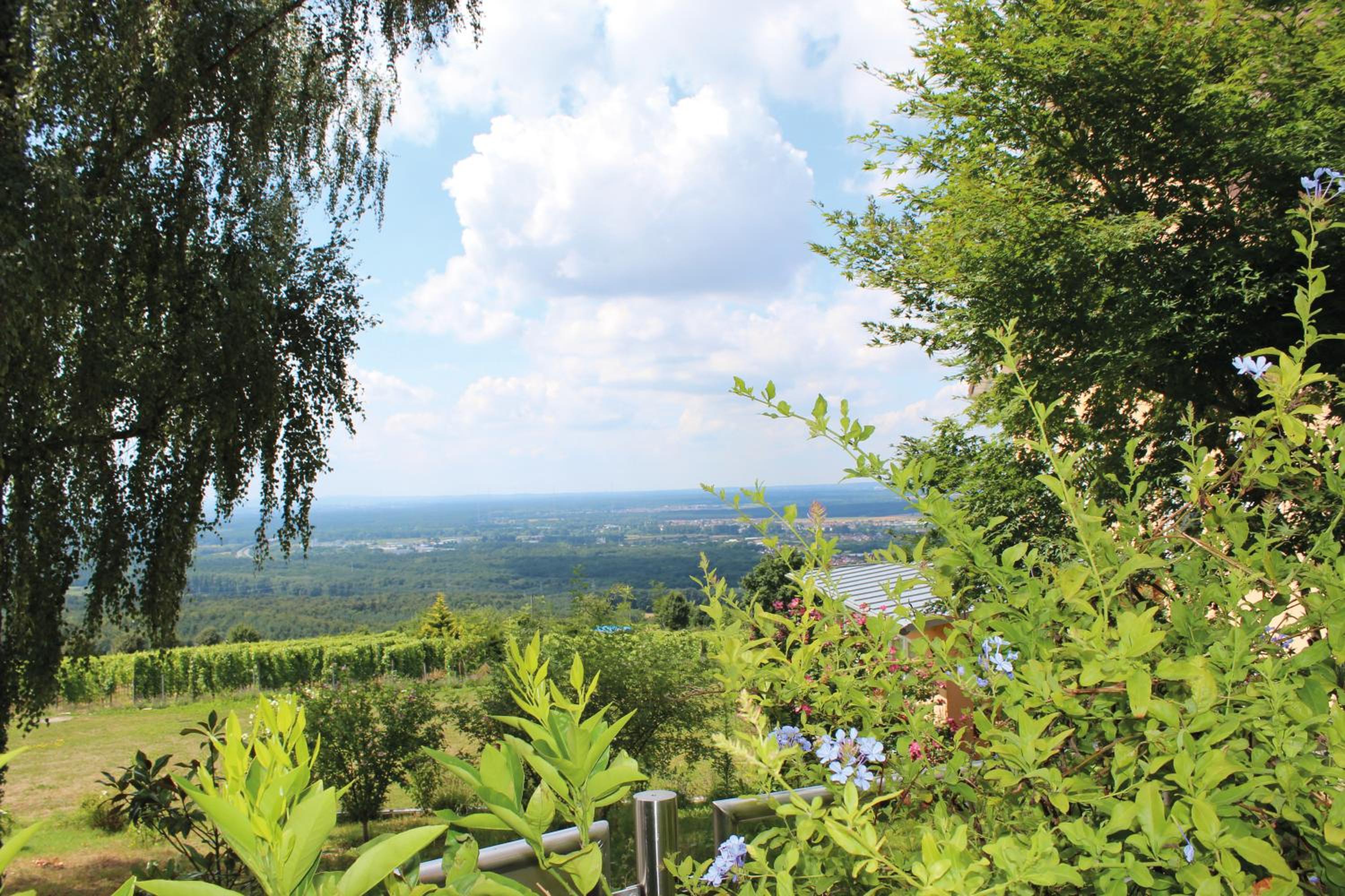Schöne Aussicht