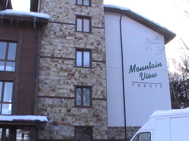 Mountain View Apartment B23 view 4