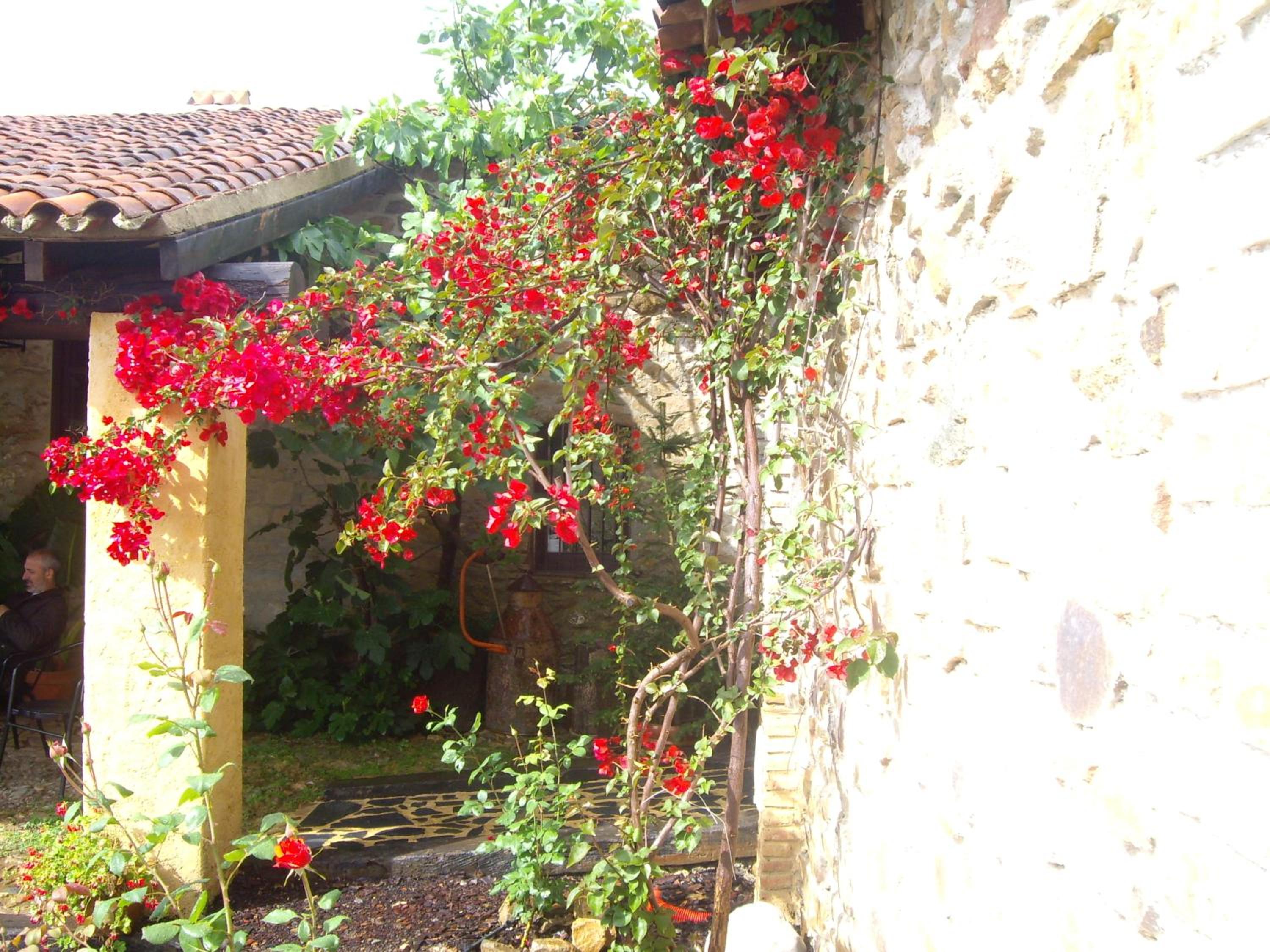 Photo 39