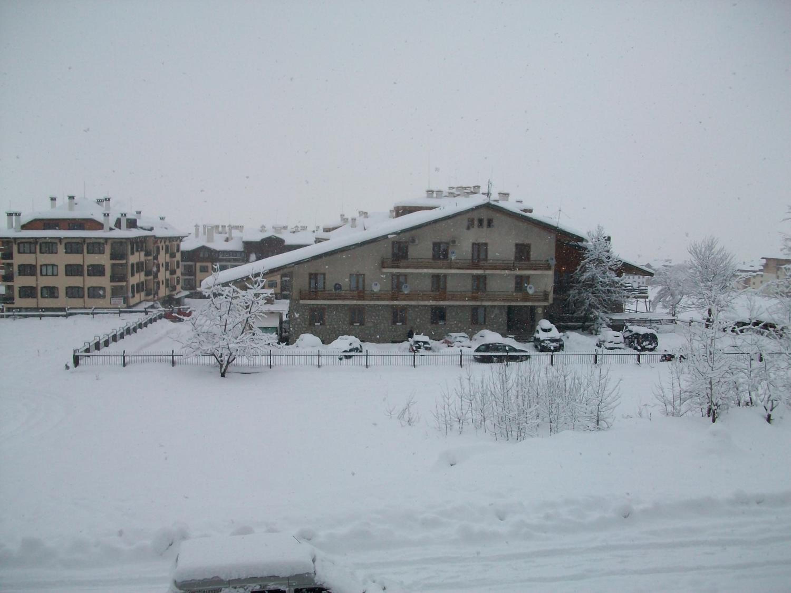 Photo 11