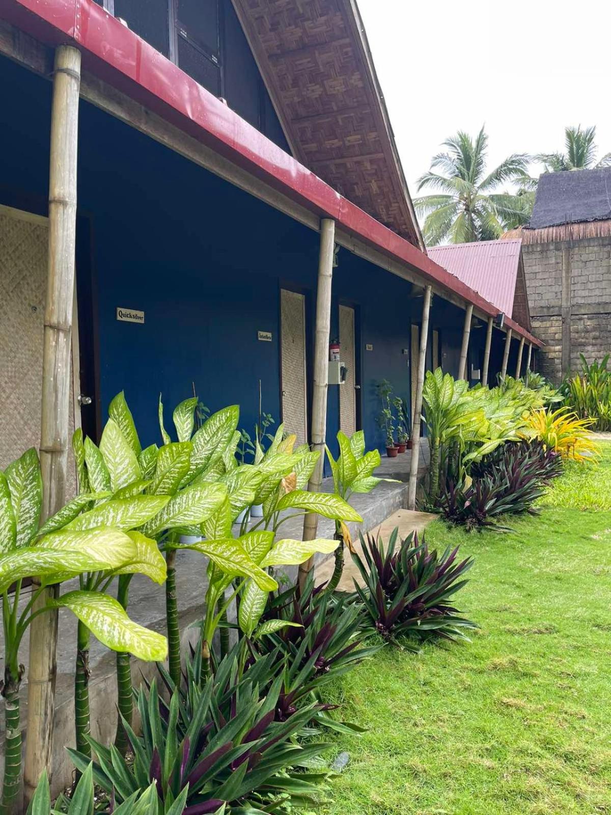 Dawn Patrol Siargao