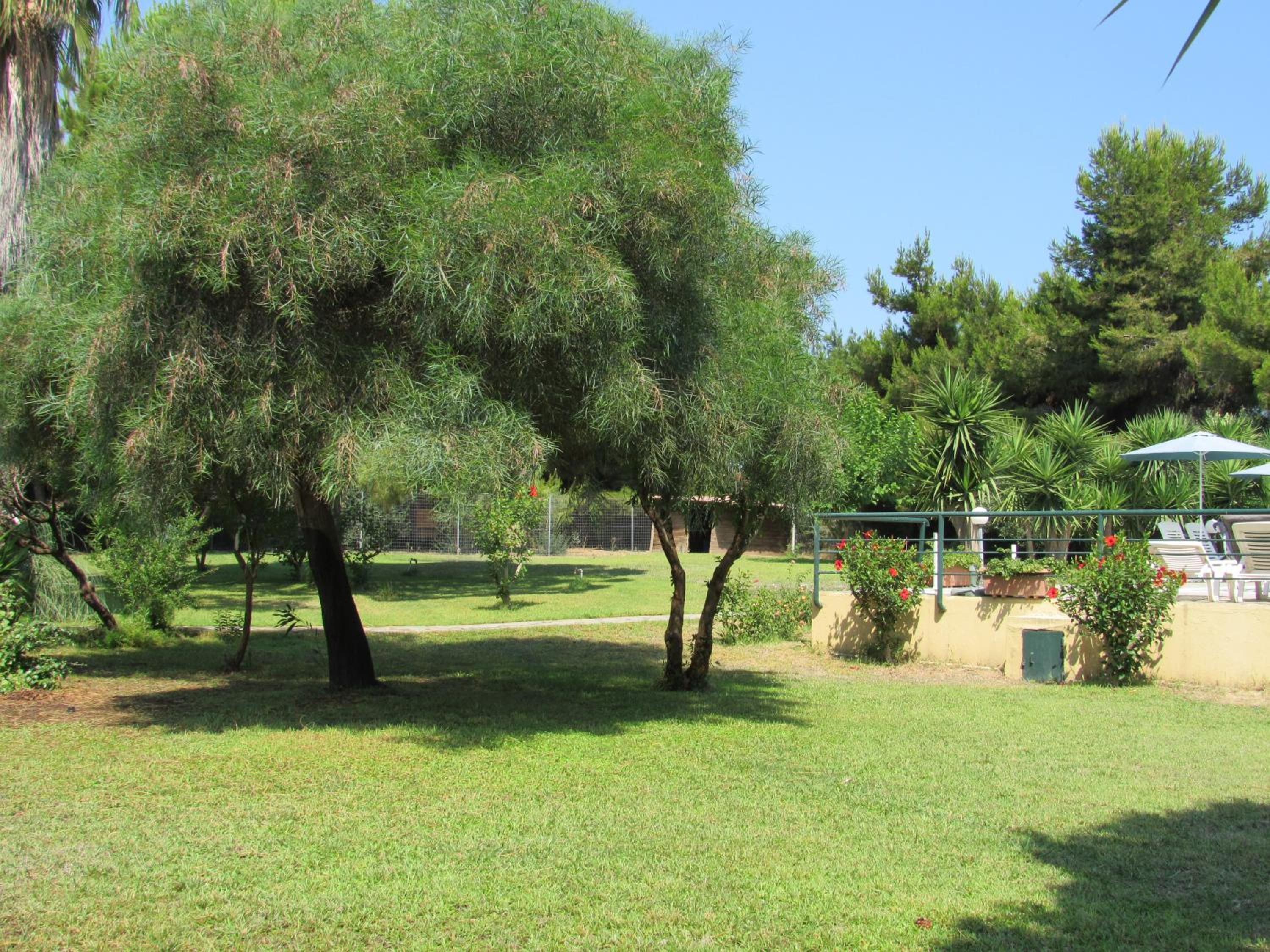 Photo 36