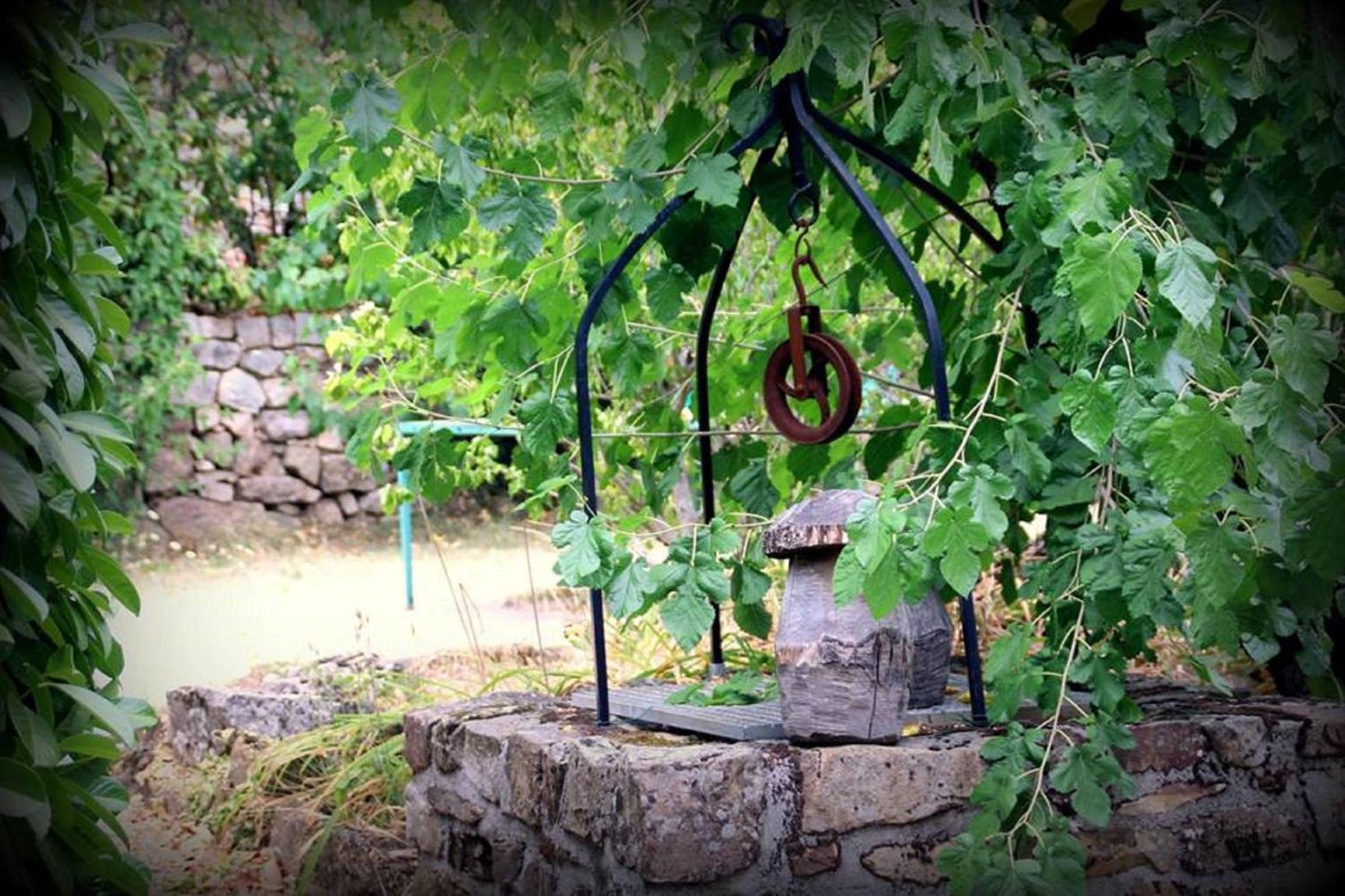 Photo 22
