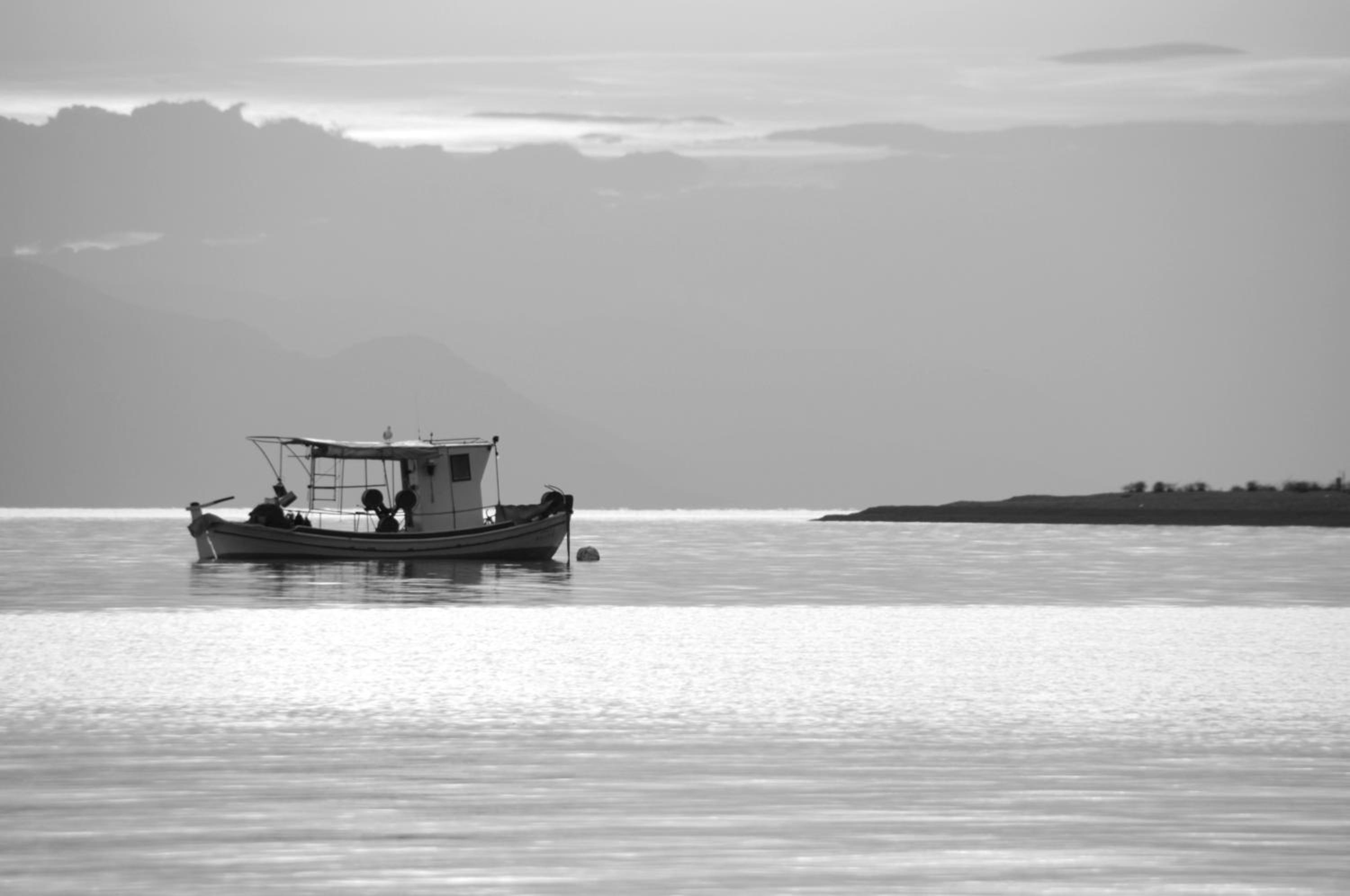 Photo 48