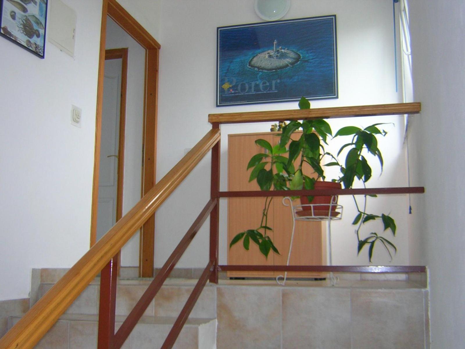 Apartment Ana