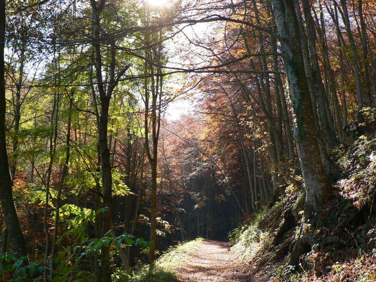 Le Pietre Ricce B&B