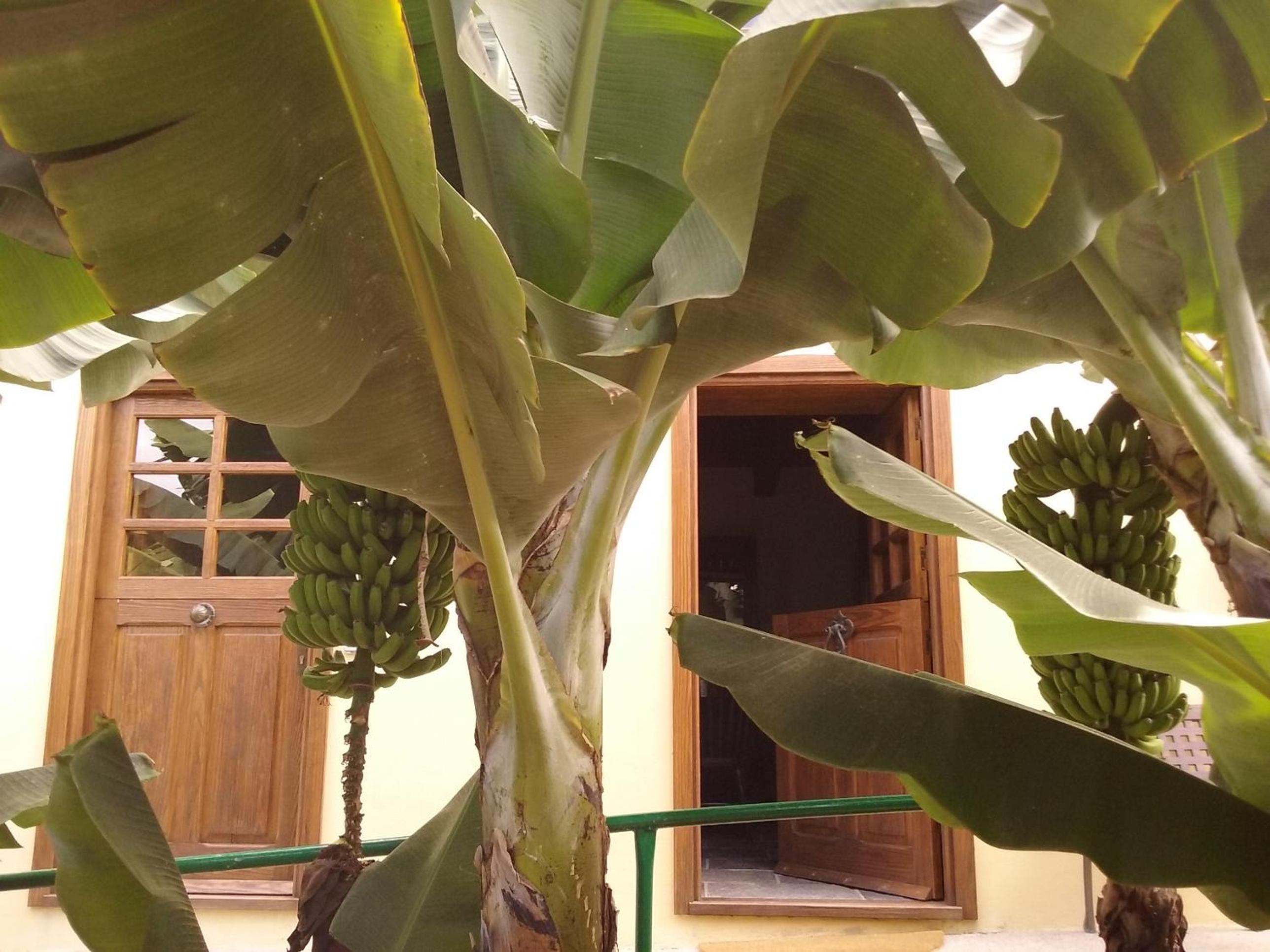 Casa Rural Llano Campo