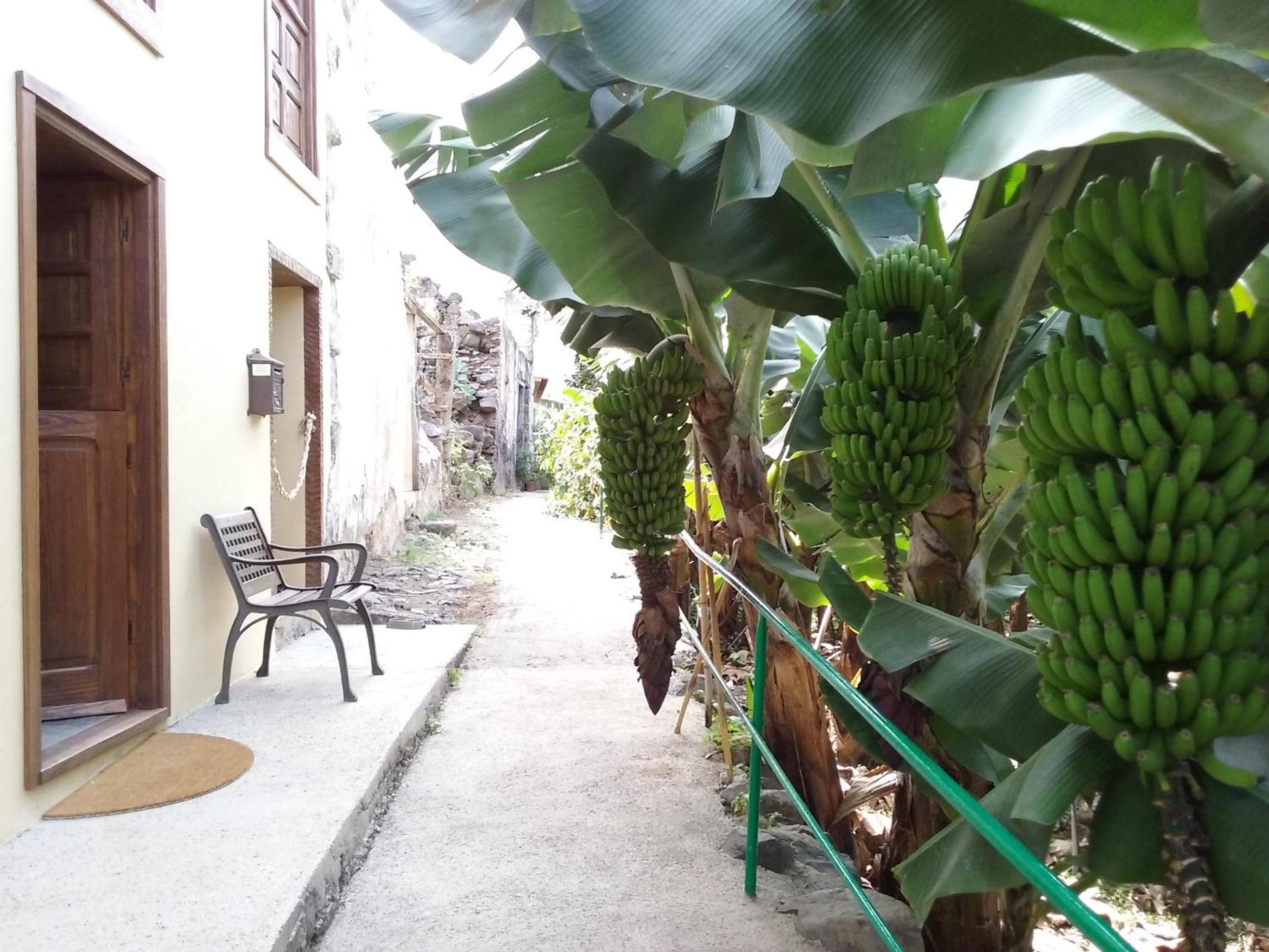 Casa Rural Llano Campo