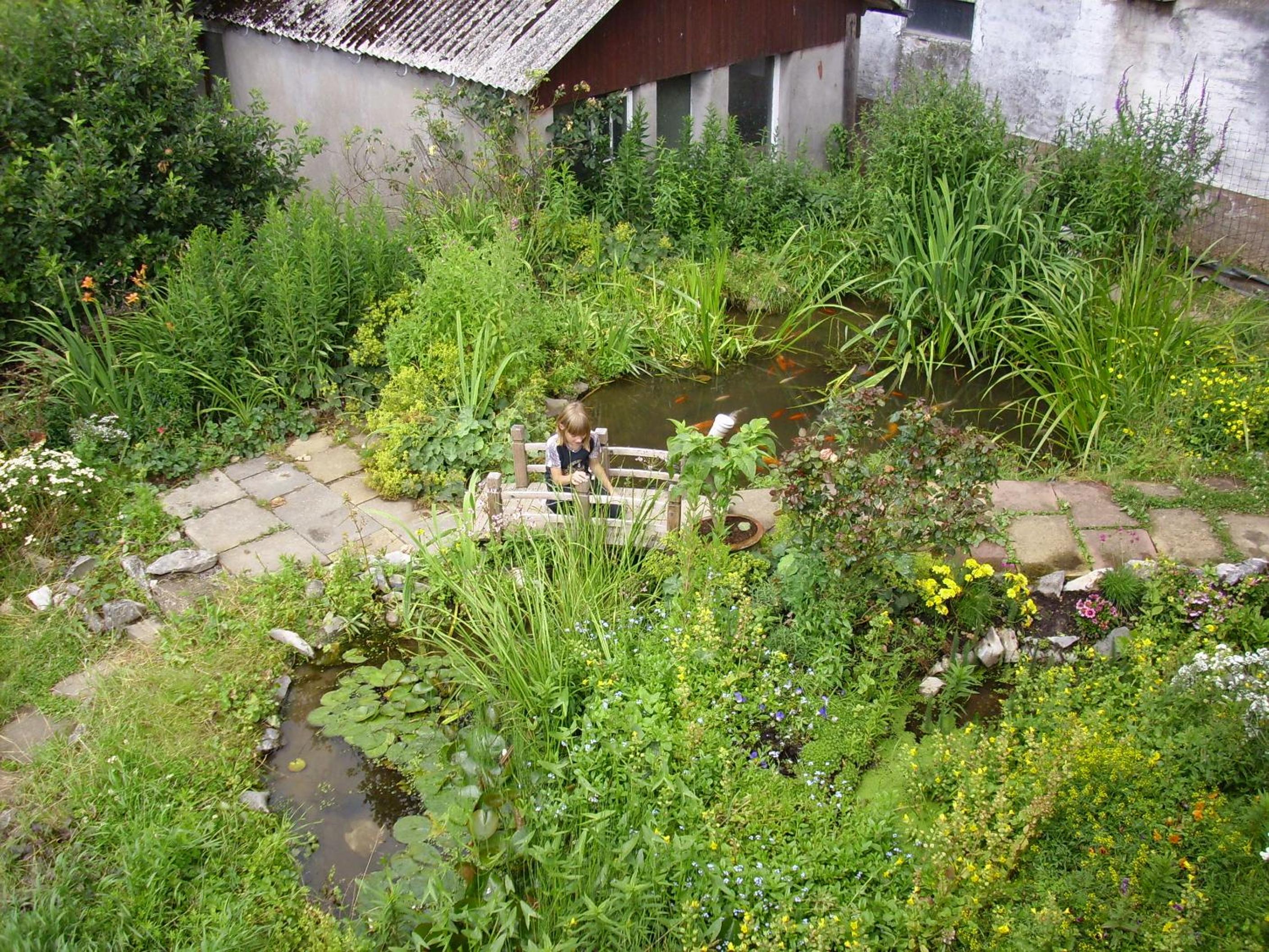 Willekes Blütenhof