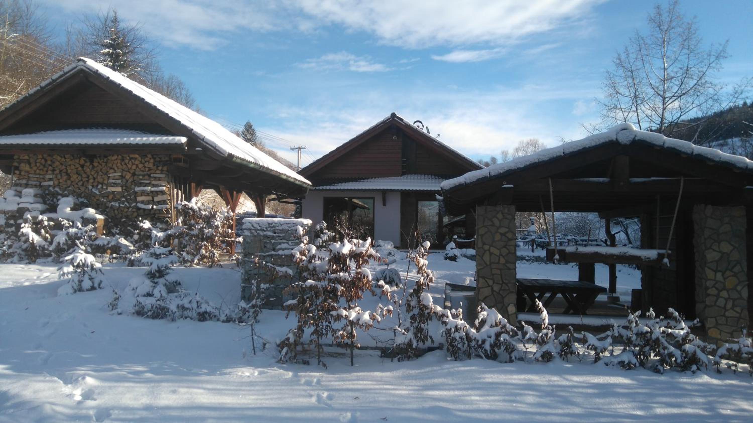 Photo 6