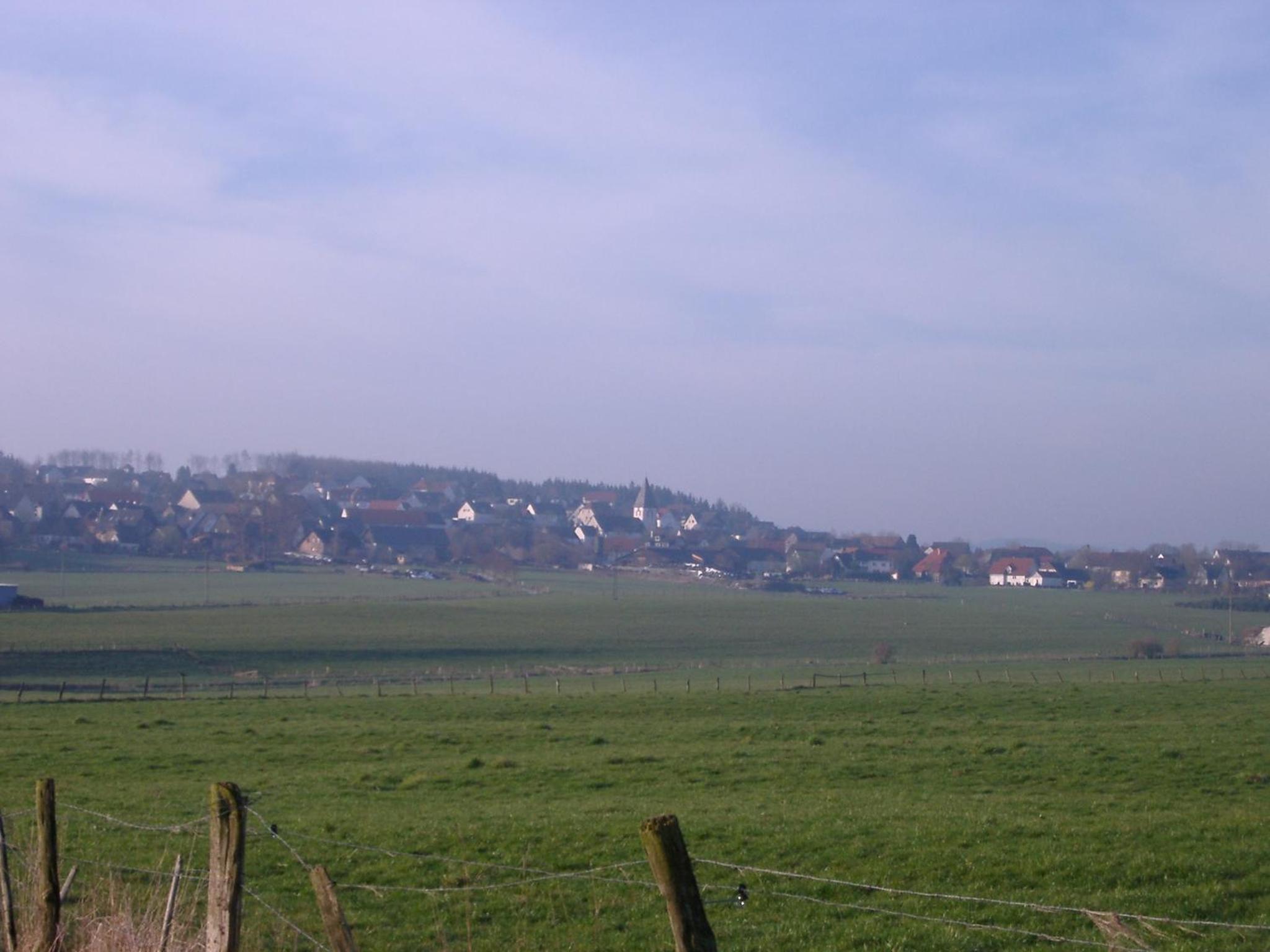 Willekes Blütenhof
