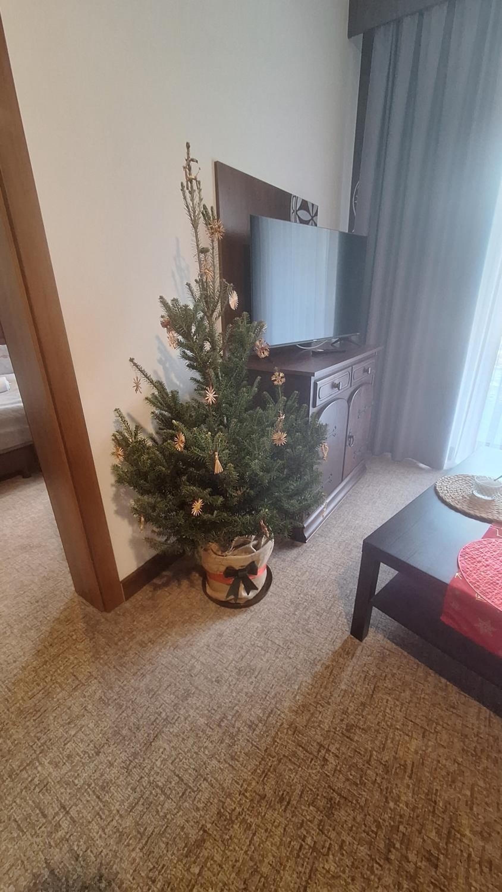 Photo 81
