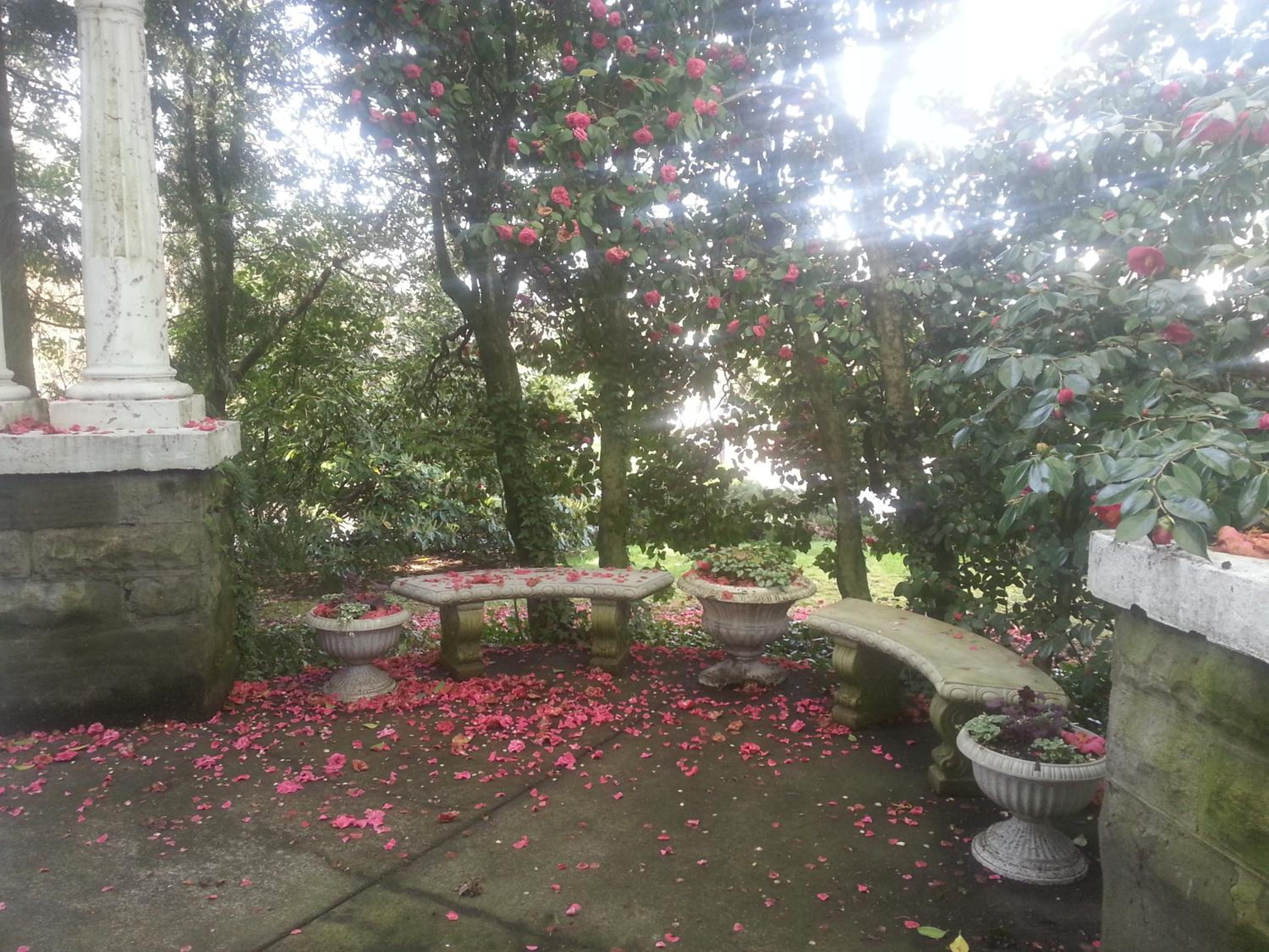 Evermore Guesthouse