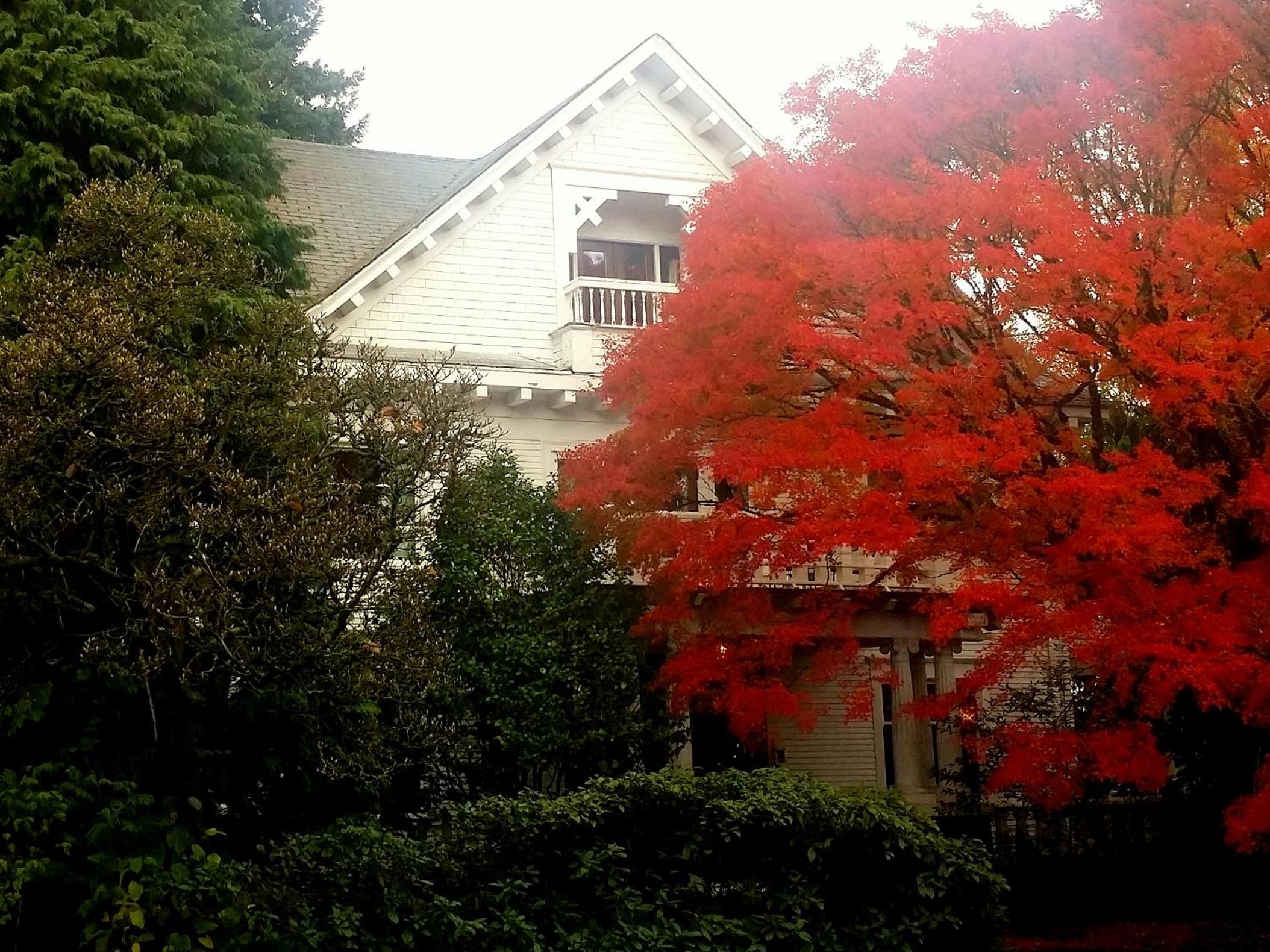 Evermore Guesthouse