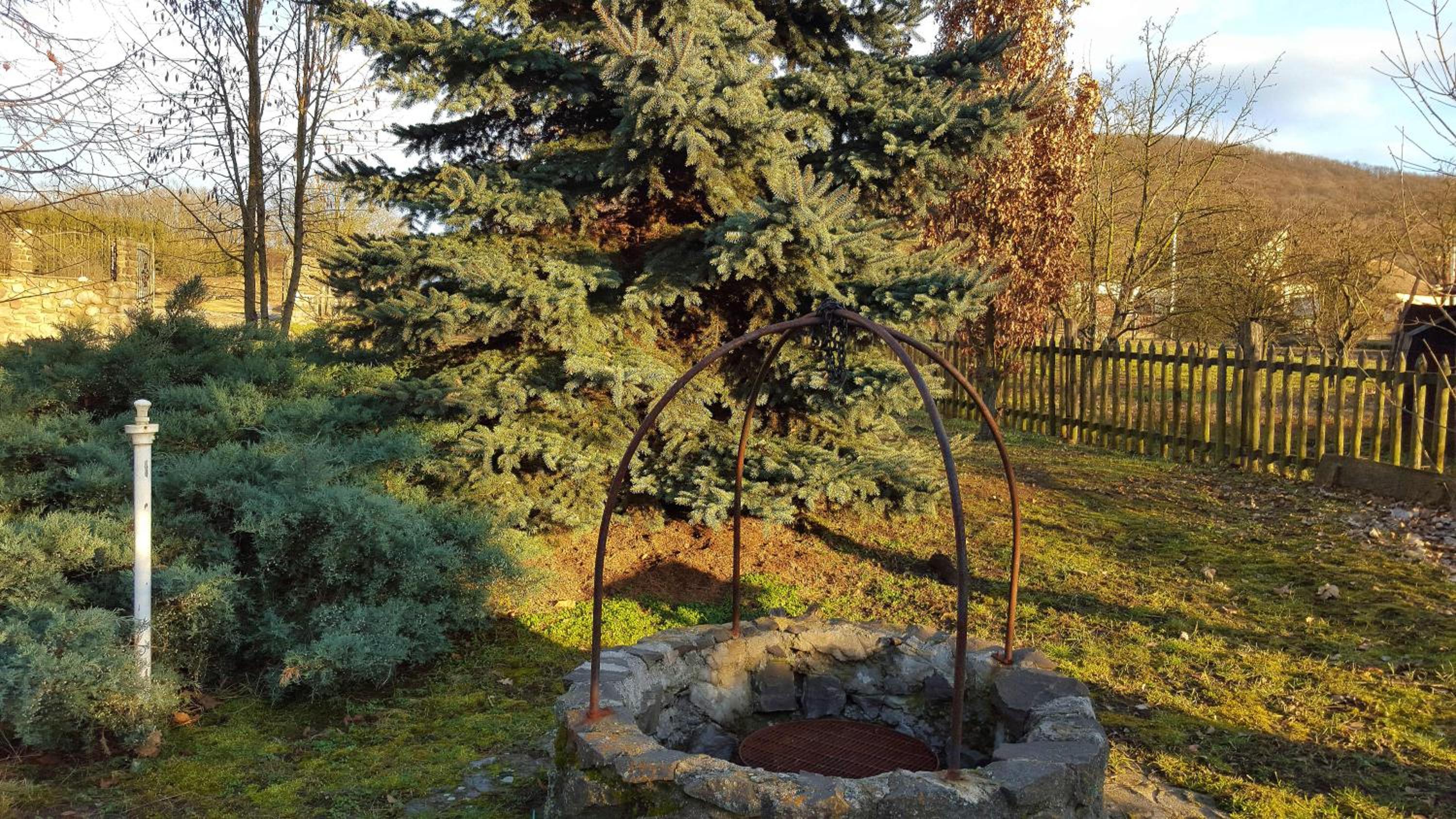Photo 48